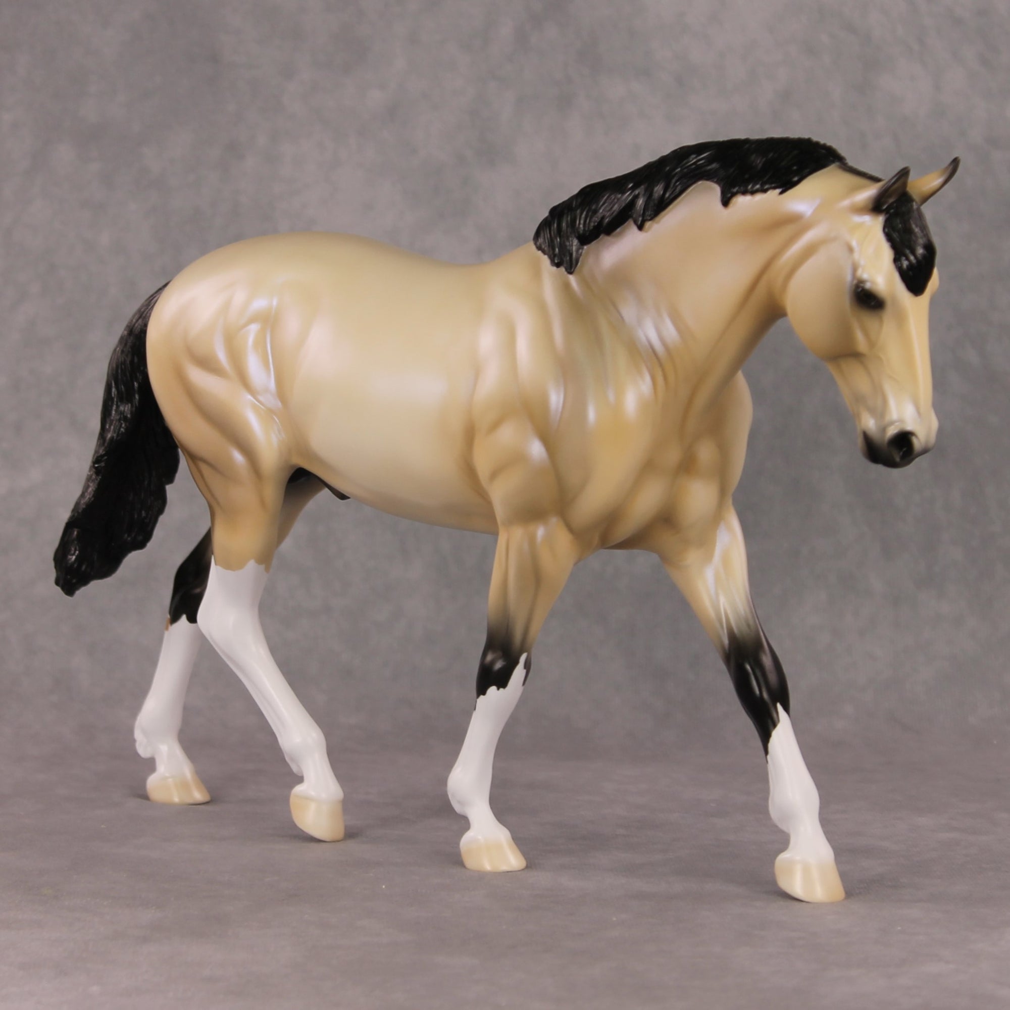 Just In Time OOAK Dapple Buckskin Irish Draught By Ellen Robbins HS24