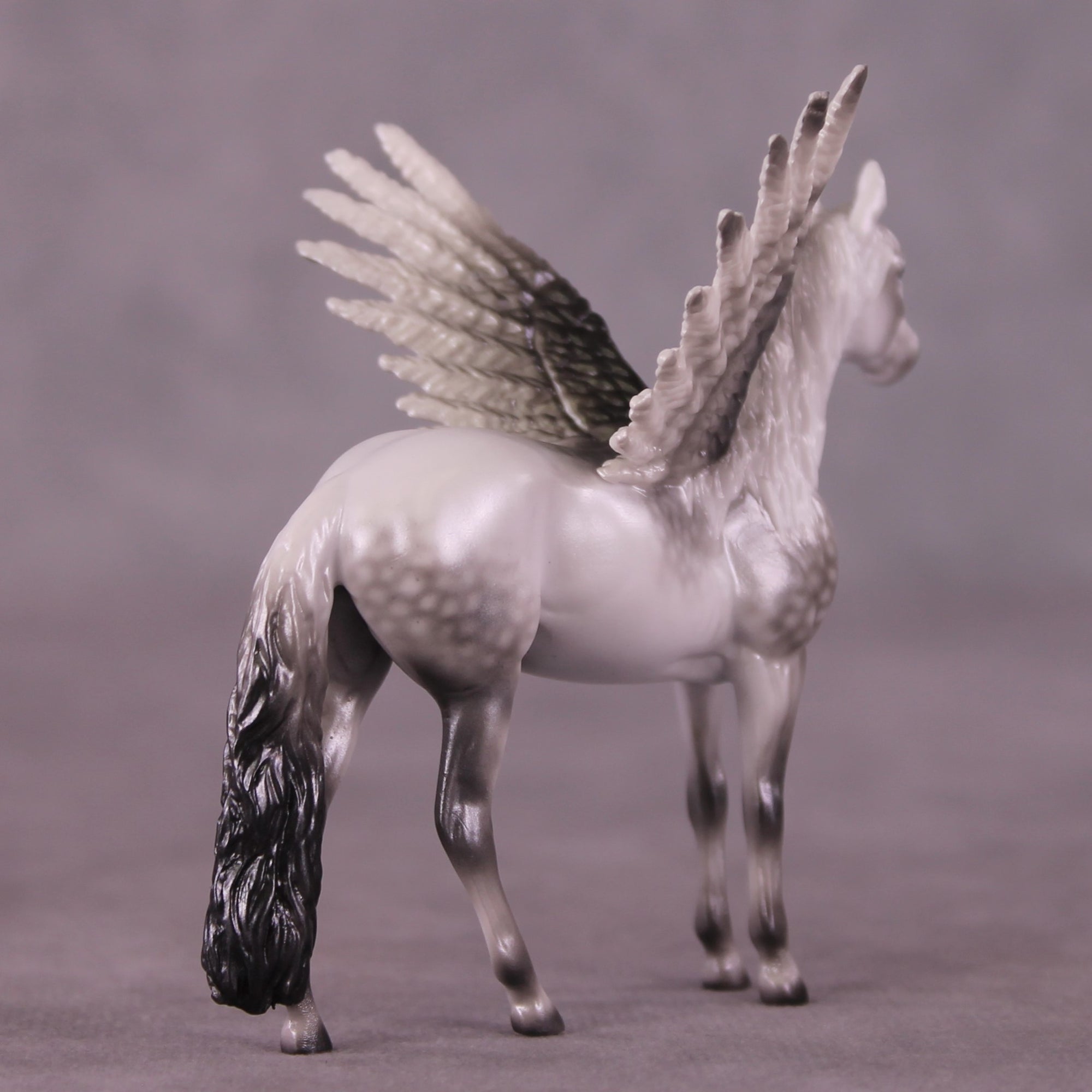 "Puck" FCM Andalusian Chip Blind Grab Bag - Painted By Ellen Robbins CL25