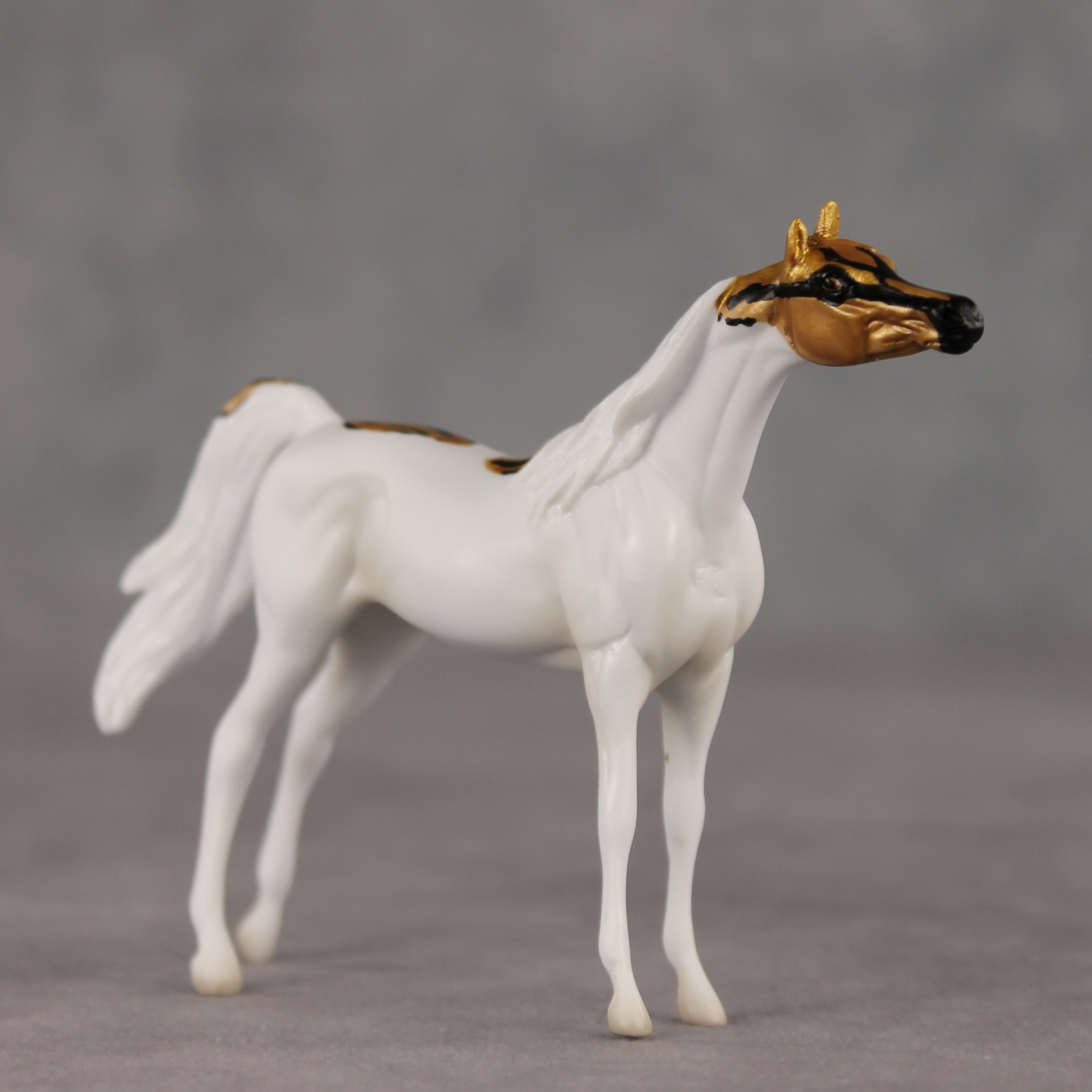 Scale Up LE-5 Chip Arabian by Jess Hamill SCD26