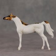 Scale Up LE-5 Chip Arabian by Jess Hamill SCD26