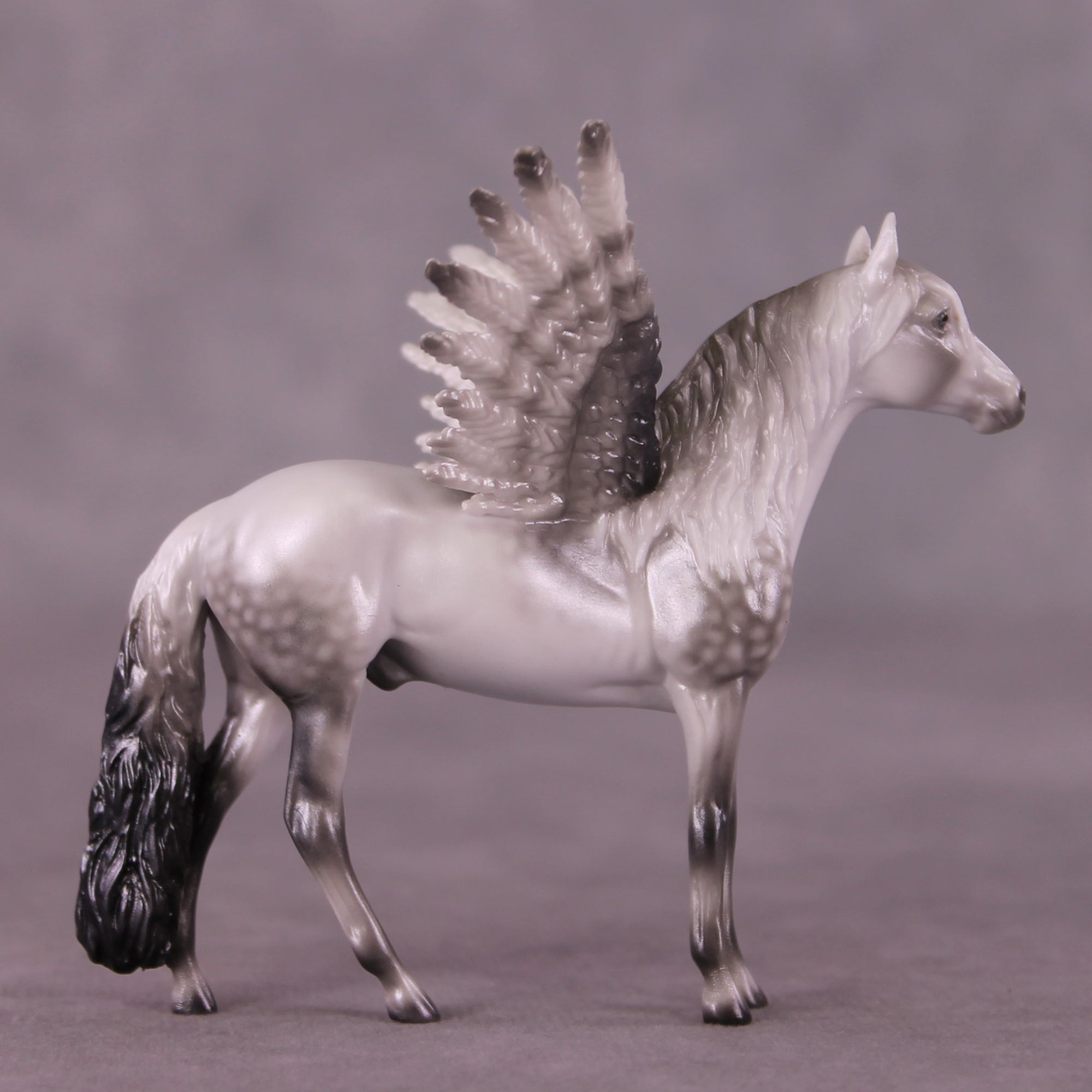 "Puck" FCM Andalusian Chip Blind Grab Bag - Painted By Ellen Robbins CL25