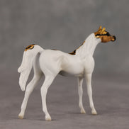 Scale Up LE-5 Chip Arabian by Jess Hamill SCD26