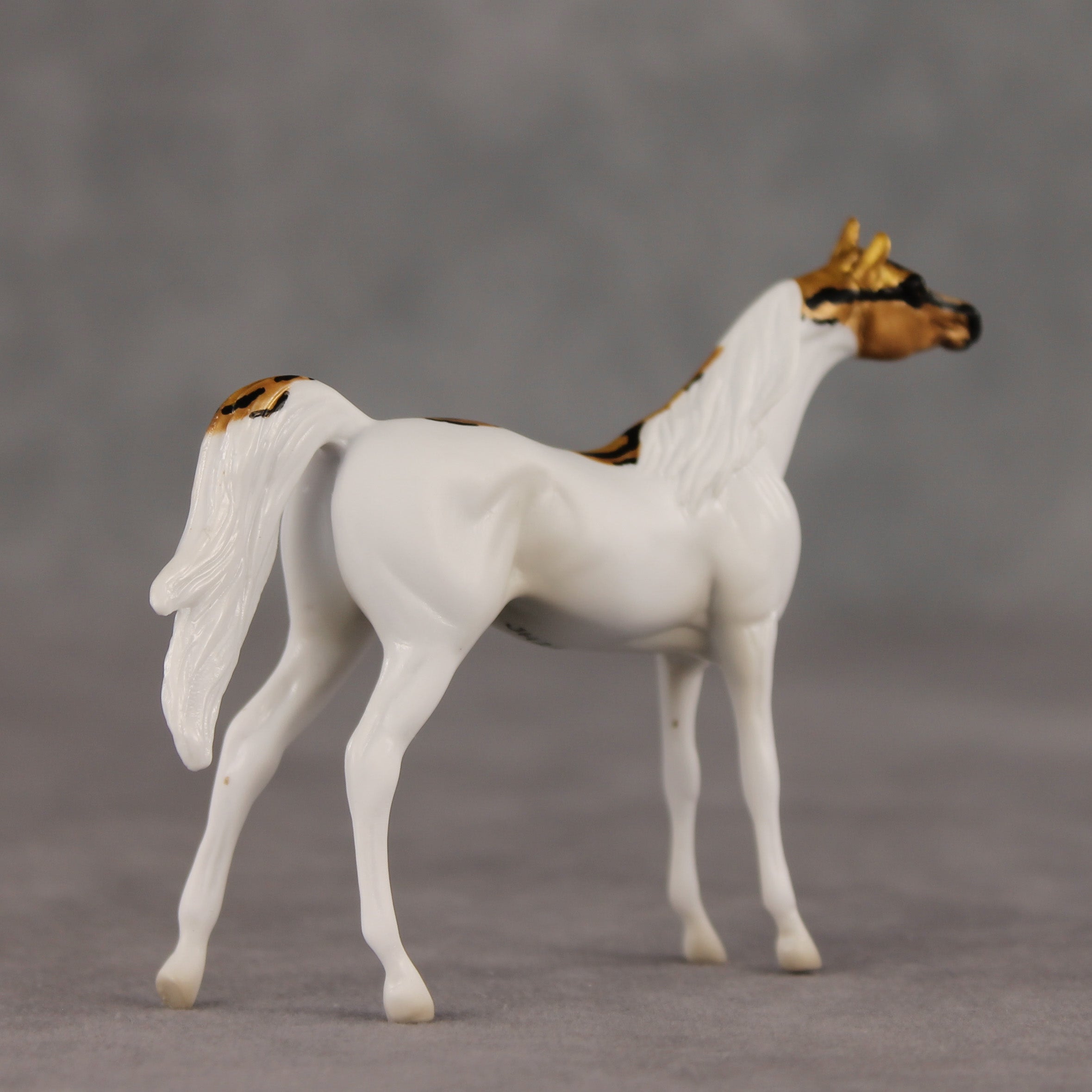 Scale Up LE-5 Chip Arabian by Jess Hamill SCD26