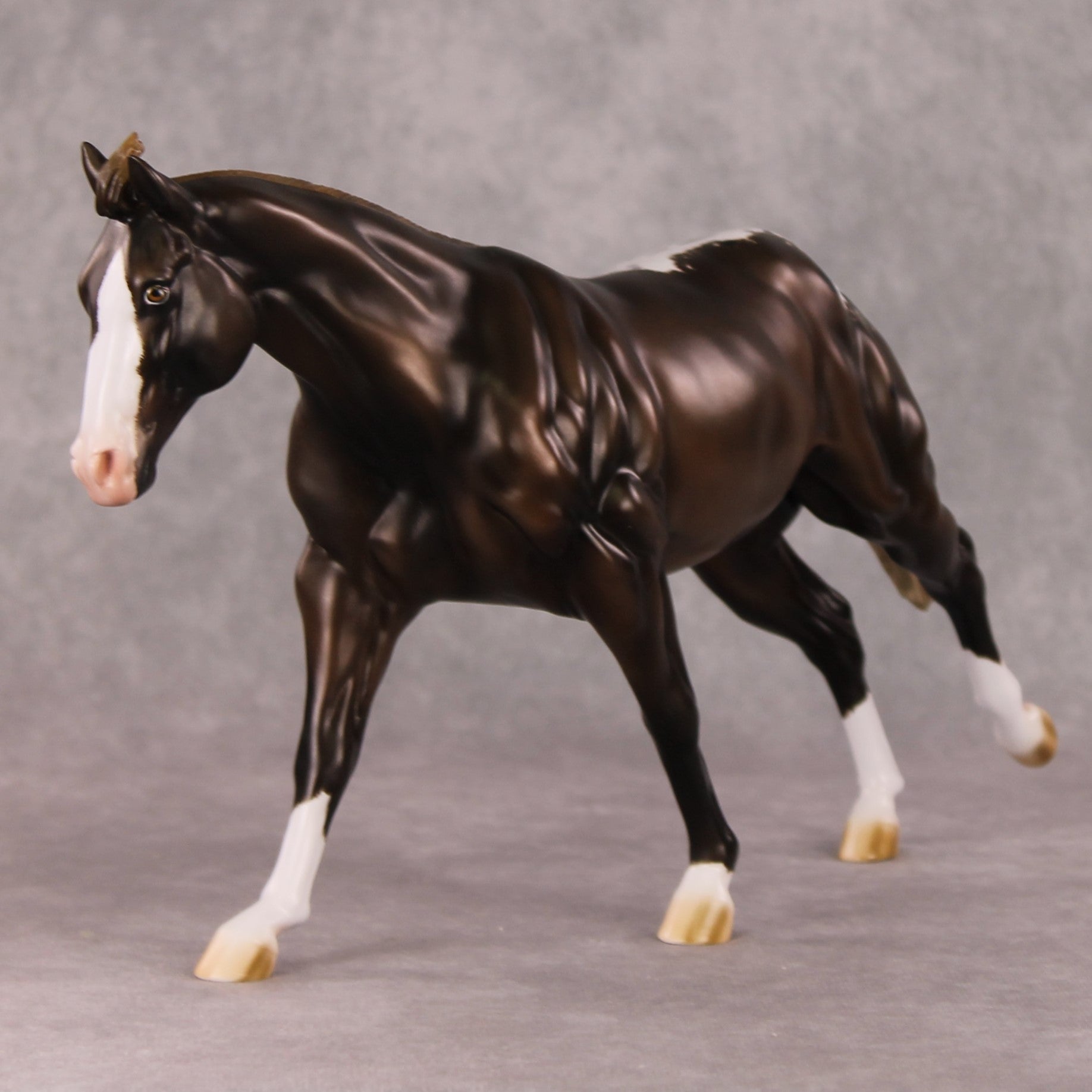 Spiced Rum Cocoa OOAK Liver Chestnut Appaloosa Custom Running Stock Horse By Ashley Palmer HS24