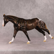 Spiced Rum Cocoa OOAK Liver Chestnut Appaloosa Custom Running Stock Horse By Ashley Palmer HS24