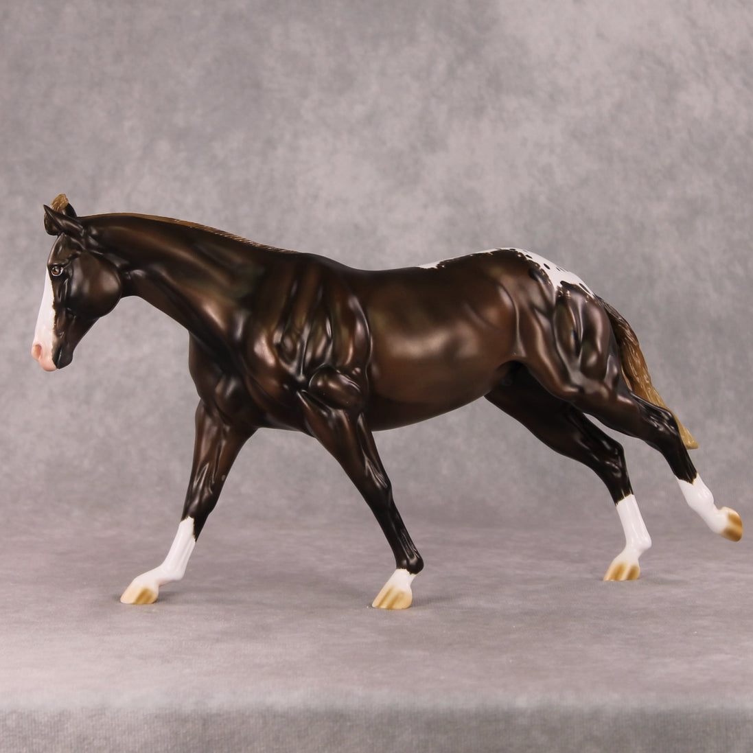 Spiced Rum Cocoa OOAK Liver Chestnut Appaloosa Custom Running Stock Horse By Ashley Palmer HS24