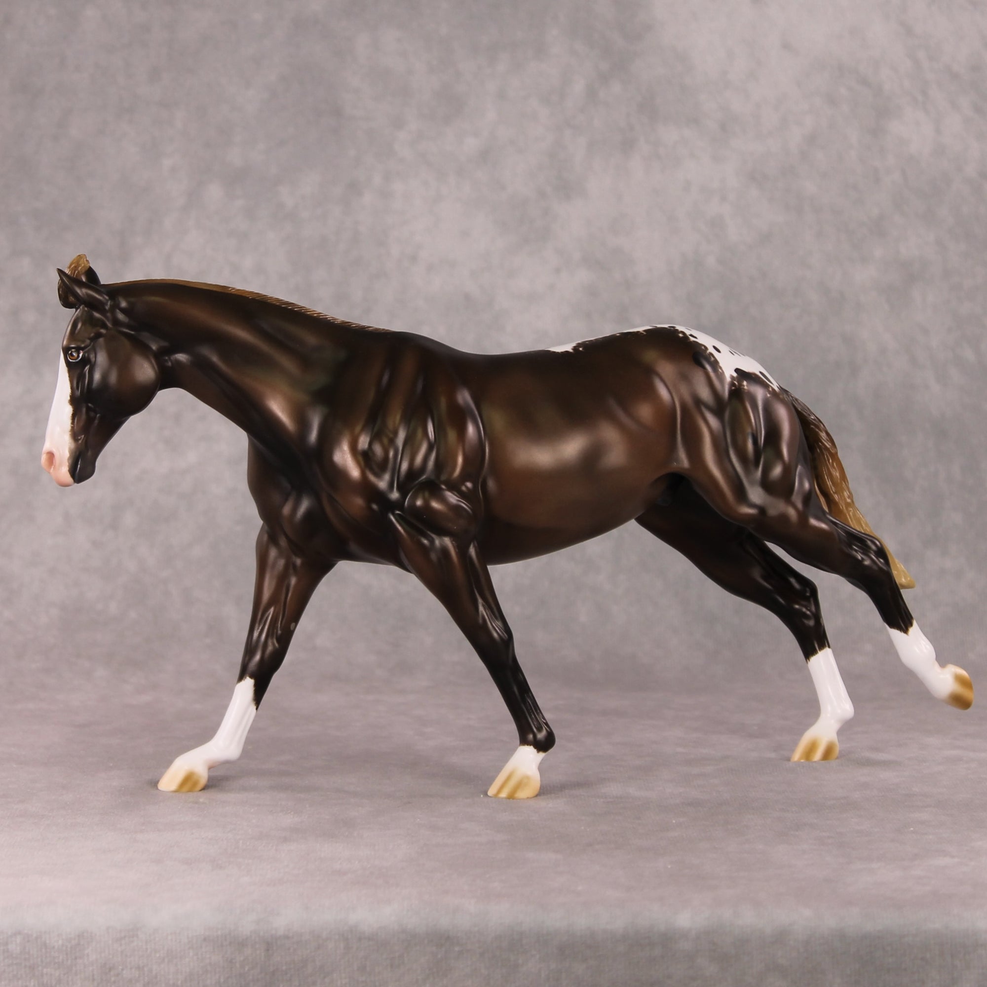Spiced Rum Cocoa OOAK Liver Chestnut Appaloosa Custom Running Stock Horse By Ashley Palmer HS24