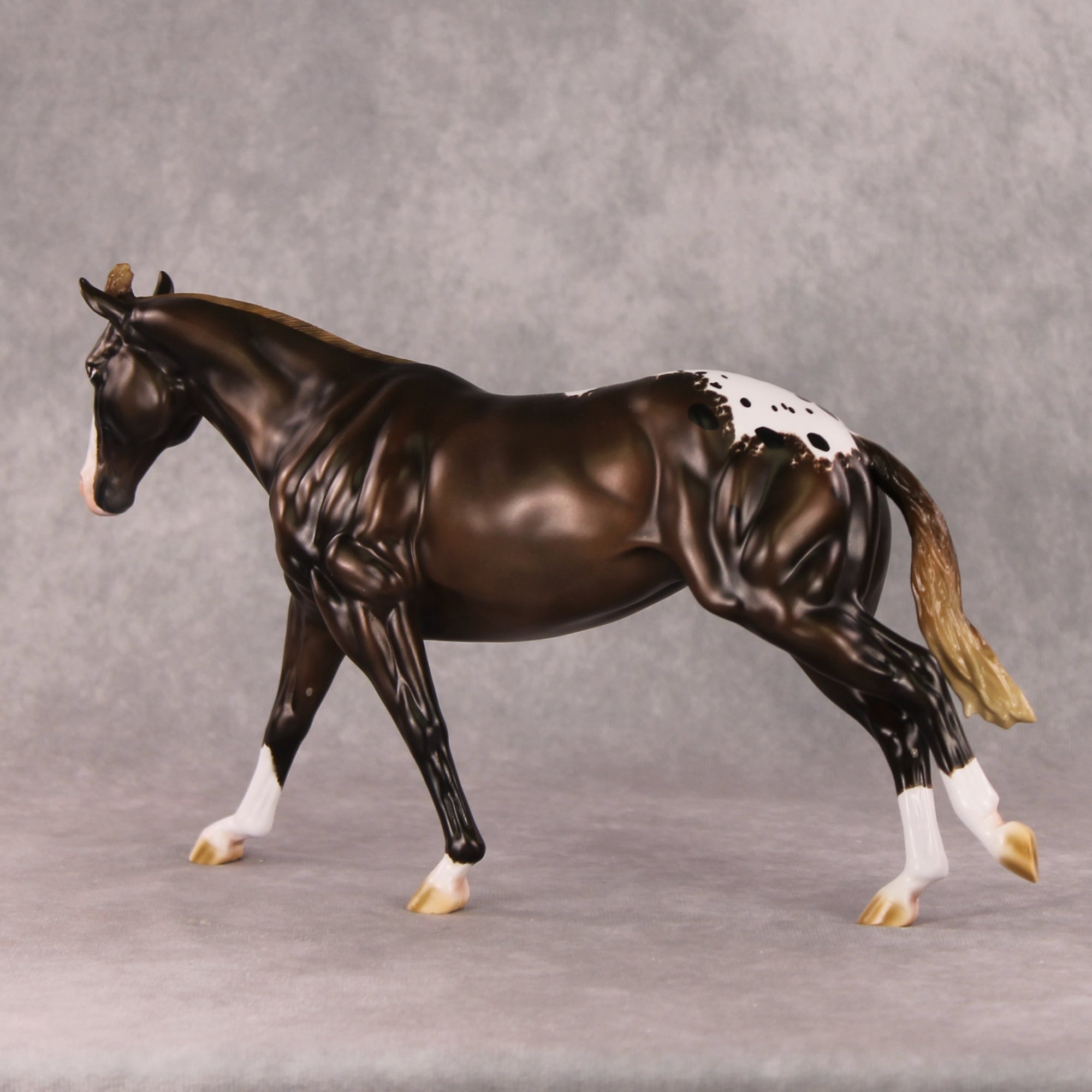 Spiced Rum Cocoa OOAK Liver Chestnut Appaloosa Custom Running Stock Horse By Ashley Palmer HS24