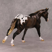 Spiced Rum Cocoa OOAK Liver Chestnut Appaloosa Custom Running Stock Horse By Ashley Palmer HS24