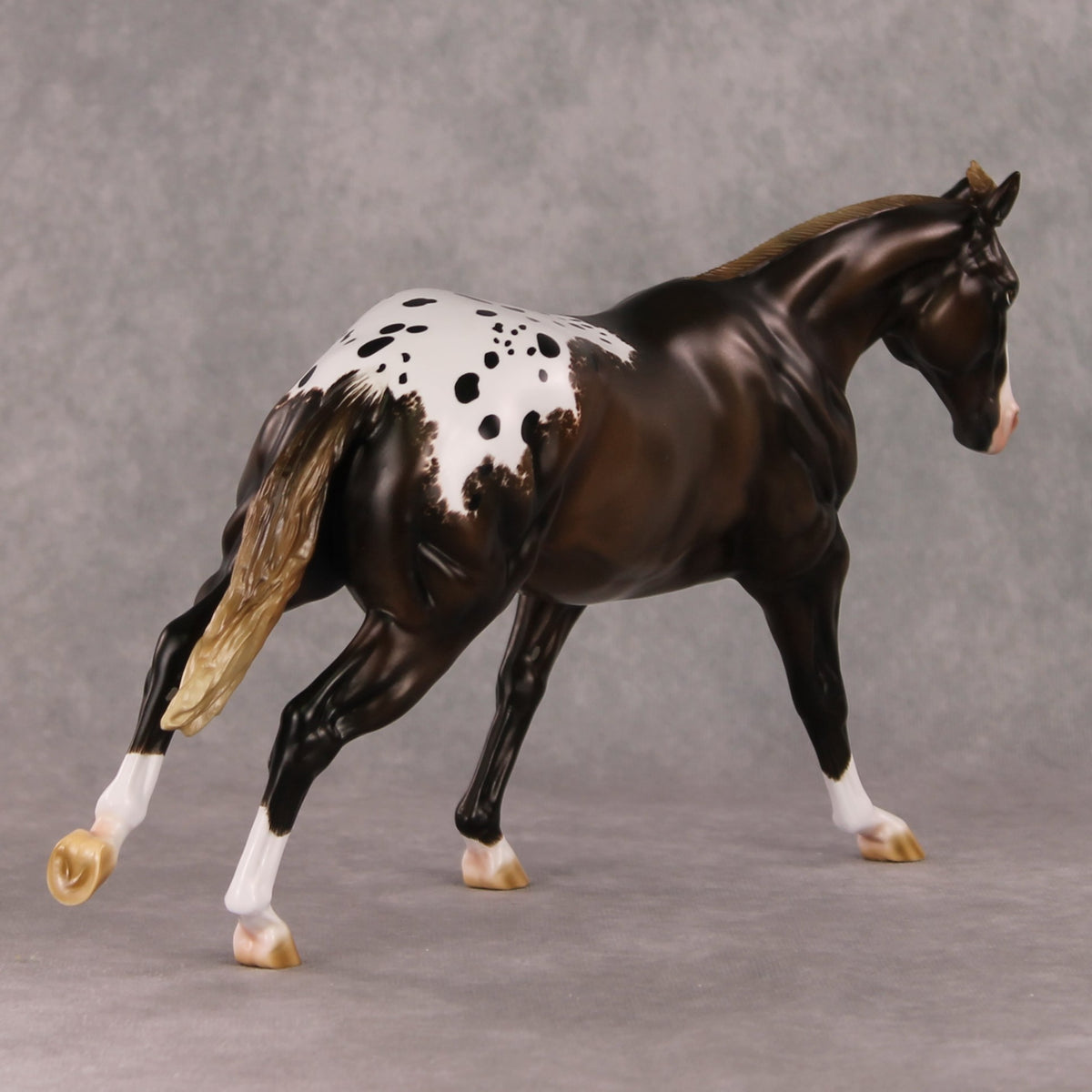 Spiced Rum Cocoa OOAK Liver Chestnut Appaloosa Custom Running Stock Horse By Ashley Palmer HS24