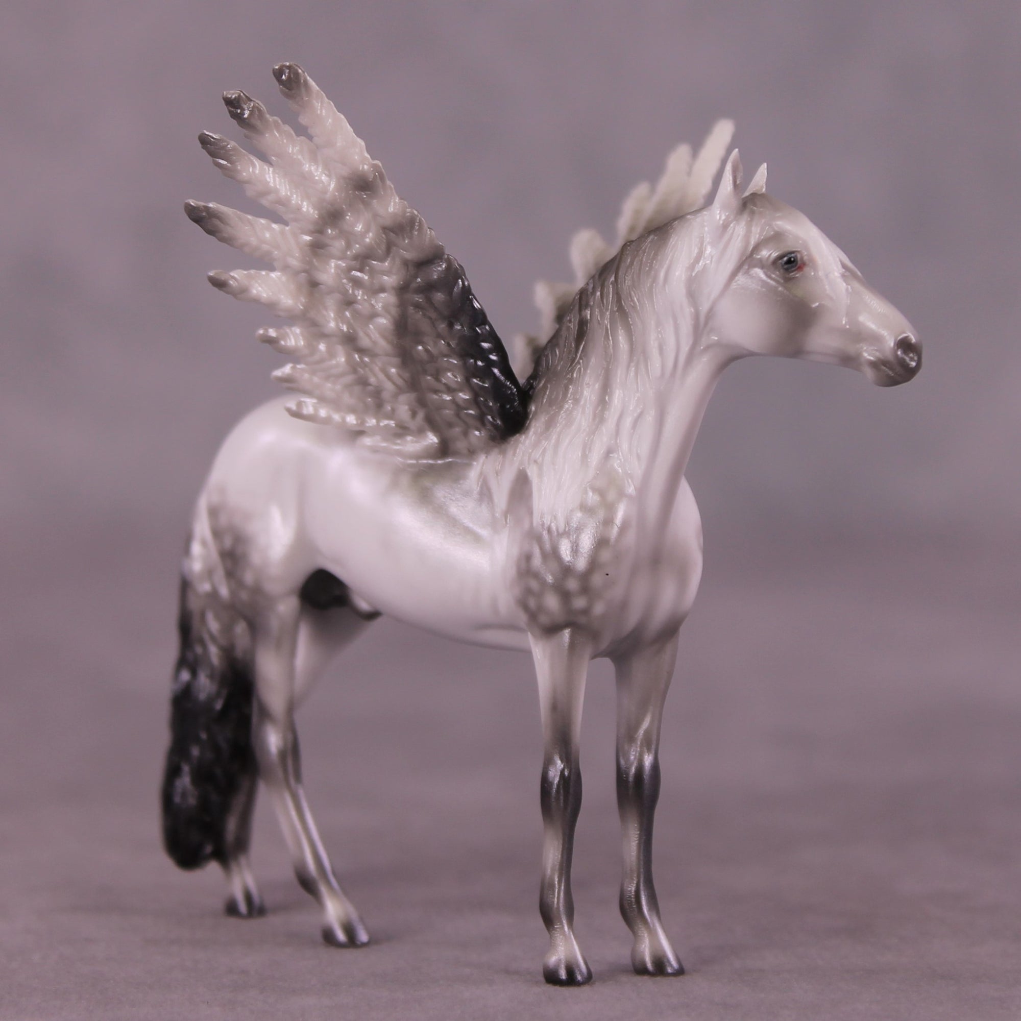 "Puck" FCM Andalusian Chip Blind Grab Bag - Painted By Ellen Robbins CL25