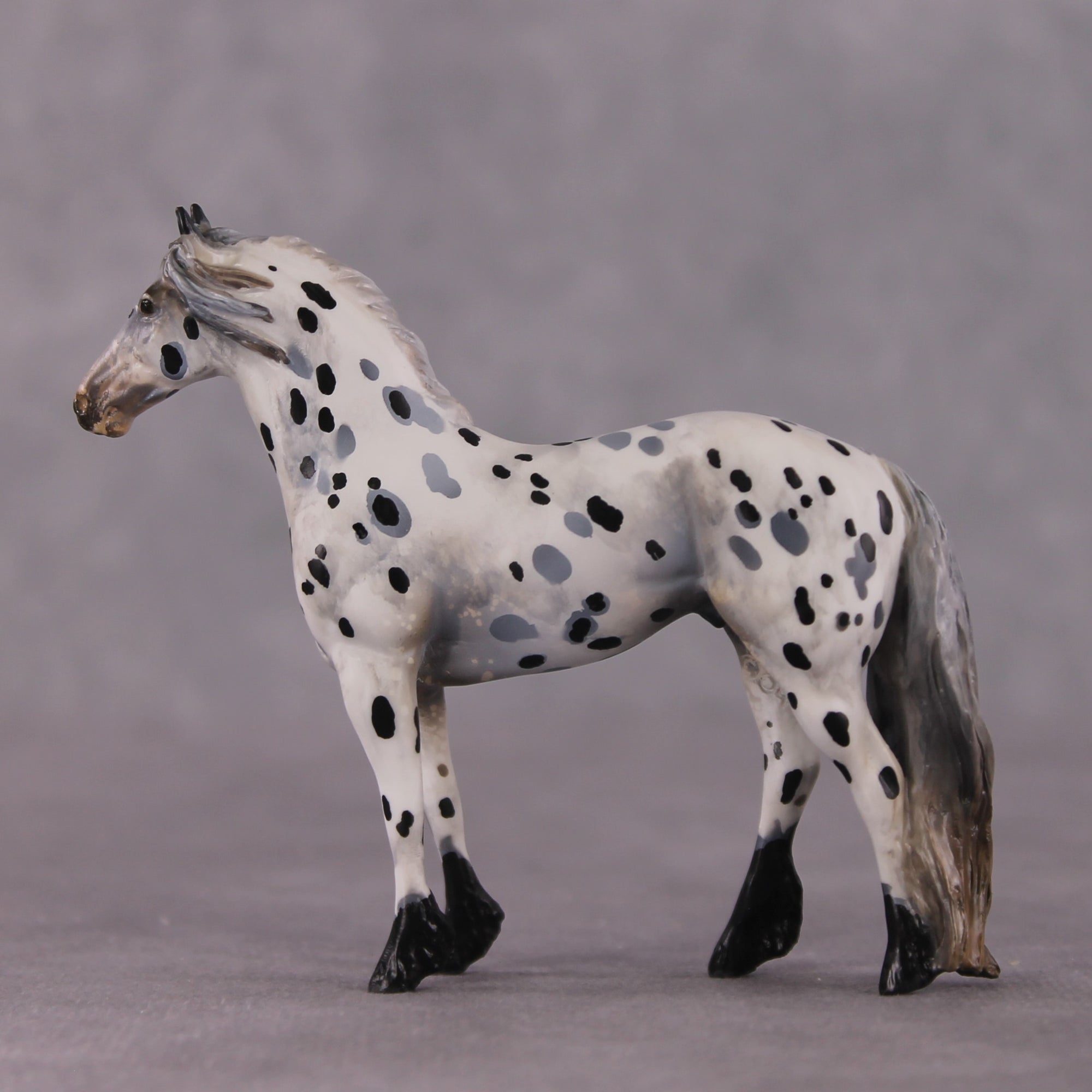 "Disengo" EFCM Stock/Friesian Chip By Kristen Cermele