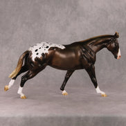 Spiced Rum Cocoa OOAK Liver Chestnut Appaloosa Custom Running Stock Horse By Ashley Palmer HS24