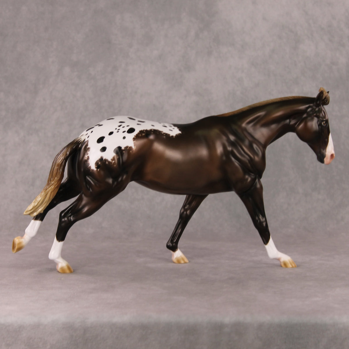 Spiced Rum Cocoa OOAK Liver Chestnut Appaloosa Custom Running Stock Horse By Ashley Palmer HS24
