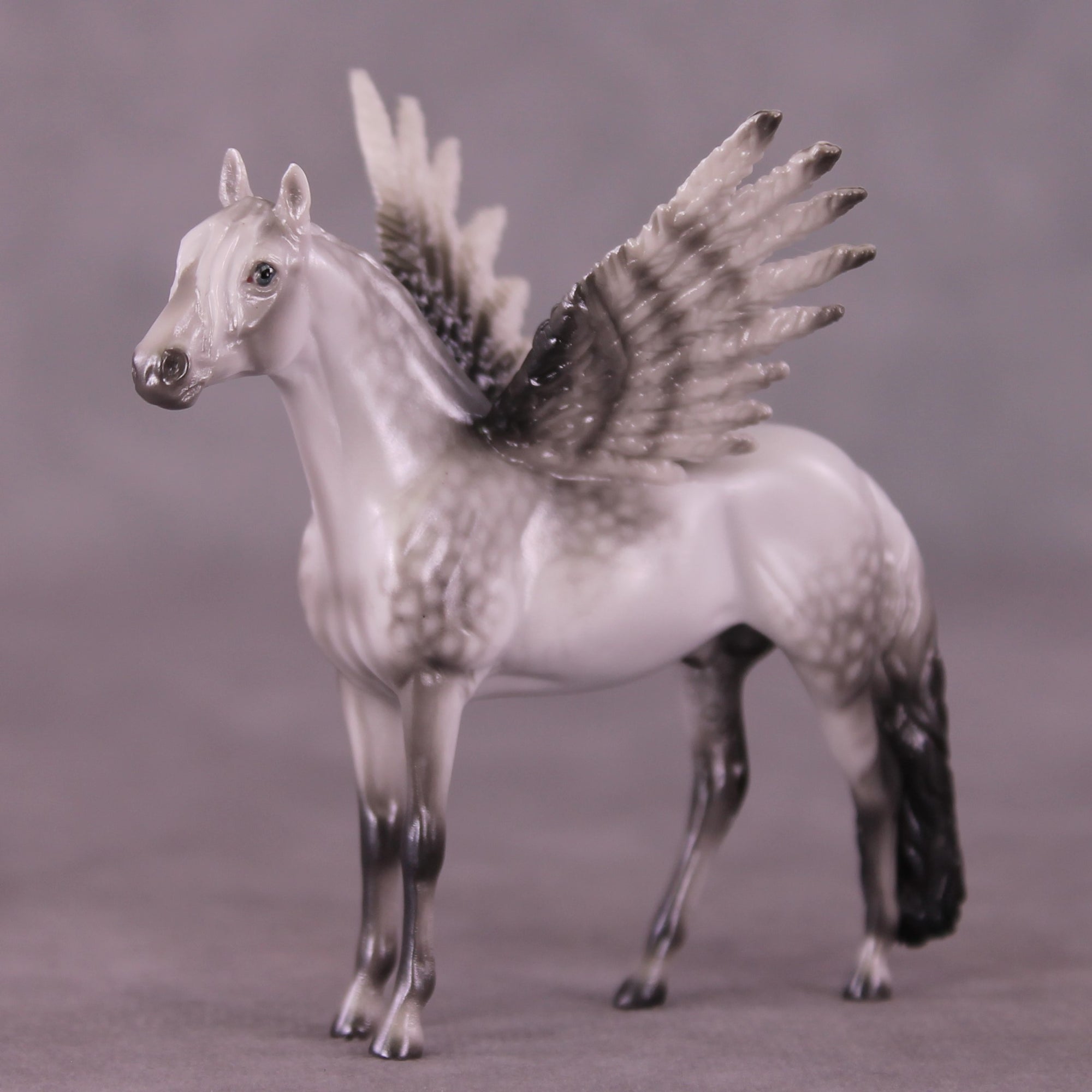 "Puck" FCM Andalusian Chip Blind Grab Bag - Painted By Ellen Robbins CL25