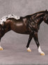 Spiced Rum Cocoa OOAK Liver Chestnut Appaloosa Custom Running Stock Horse By Ashley Palmer HS24