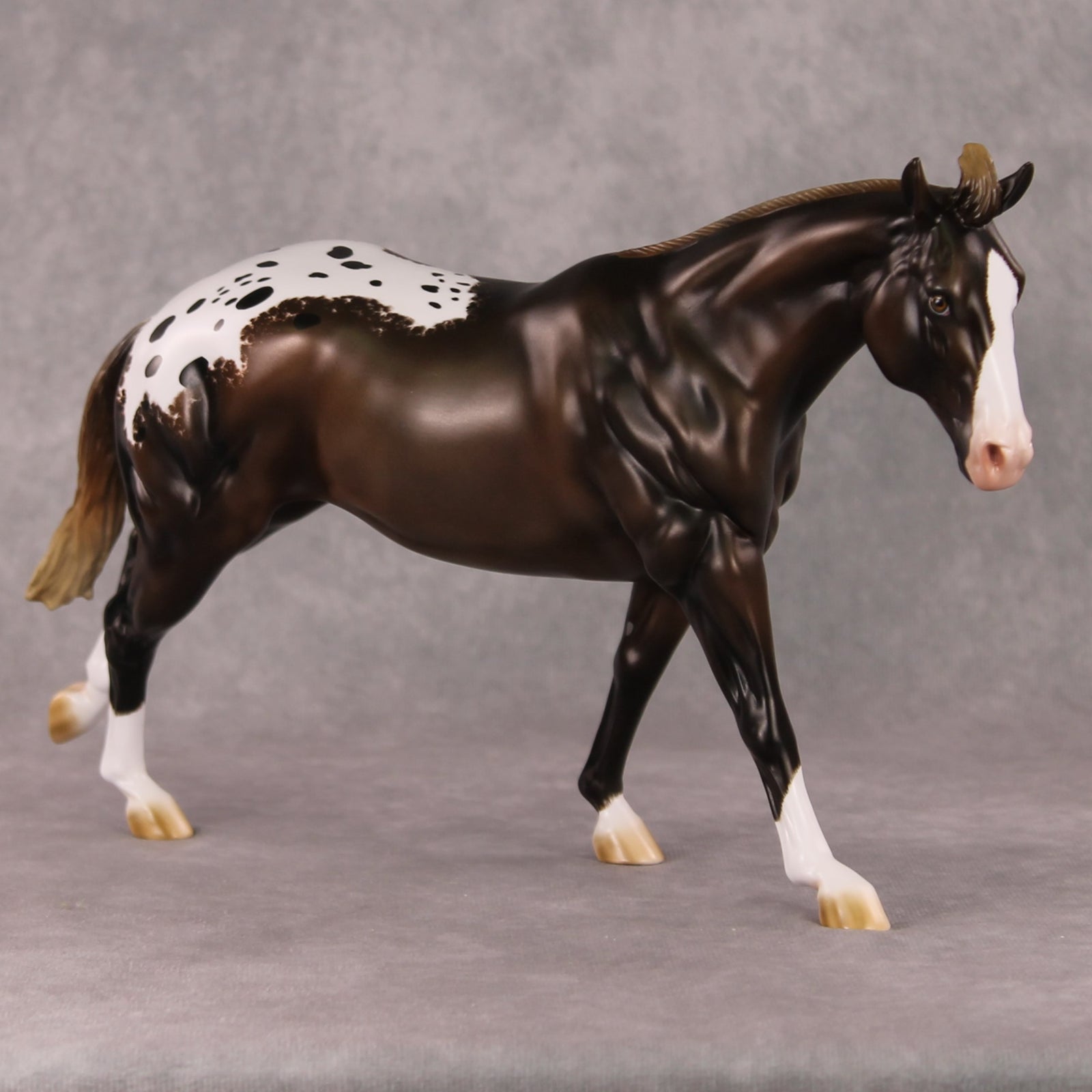 Spiced Rum Cocoa OOAK Liver Chestnut Appaloosa Custom Running Stock Horse By Ashley Palmer HS24