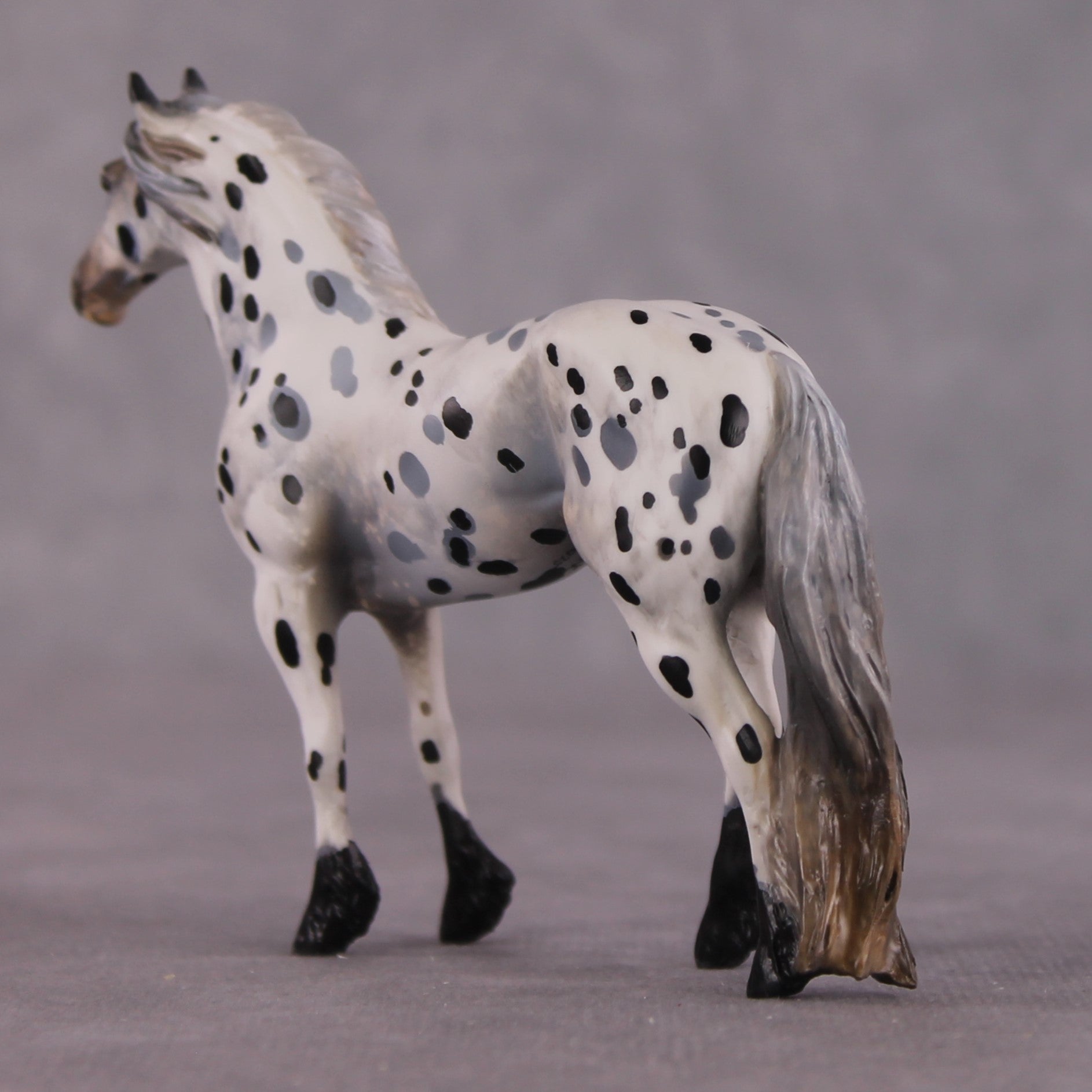 "Disengo" EFCM Stock/Friesian Chip By Kristen Cermele