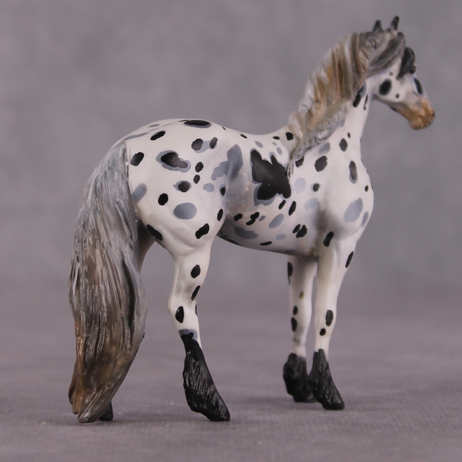 "Disengo" EFCM Stock/Friesian Chip By Kristen Cermele