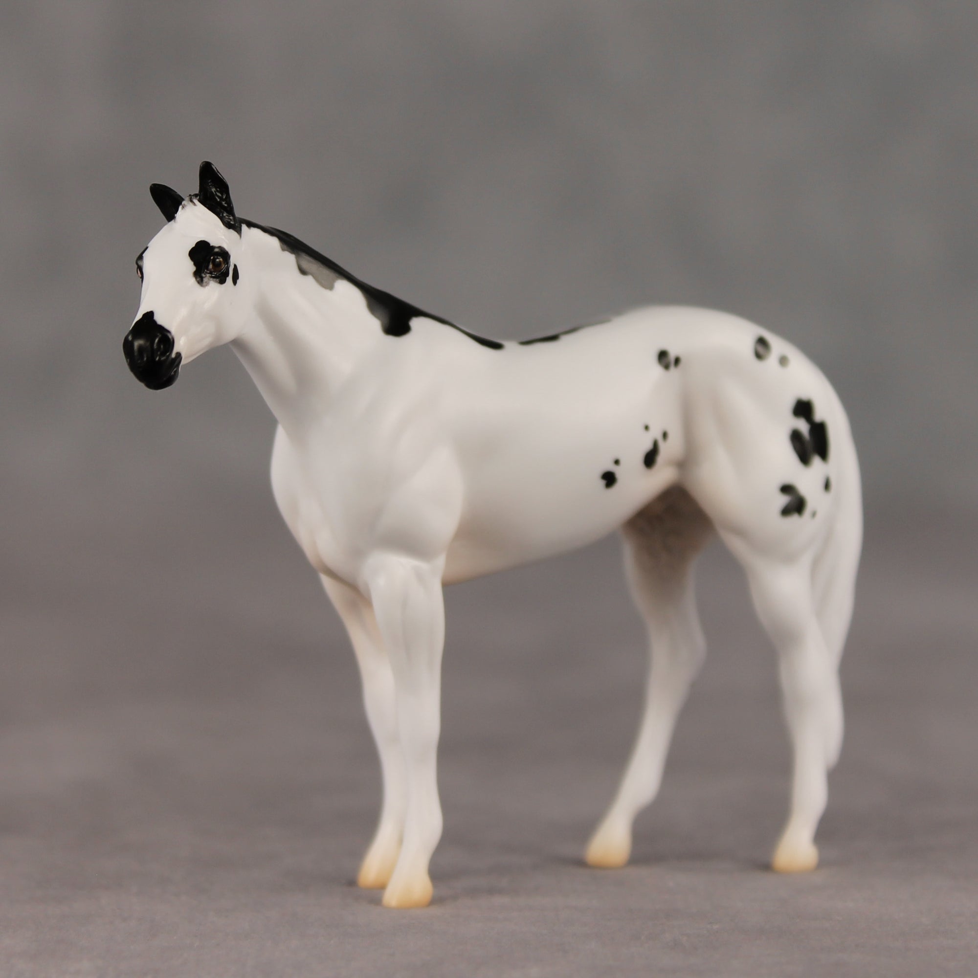 Hop To It LE-5 Chip Stock Horse by Jess Hamill SCD26
