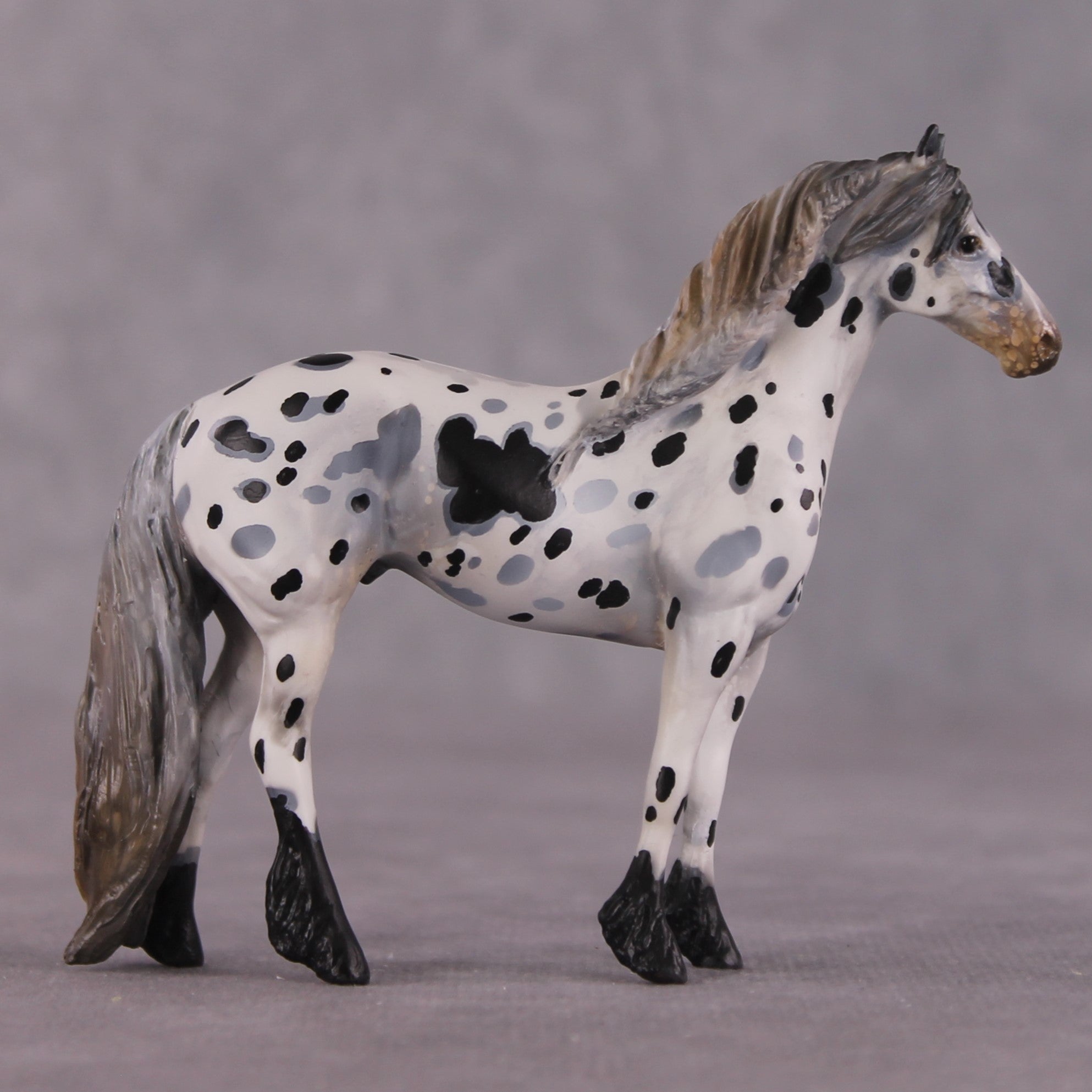 "Disengo" EFCM Stock/Friesian Chip By Kristen Cermele