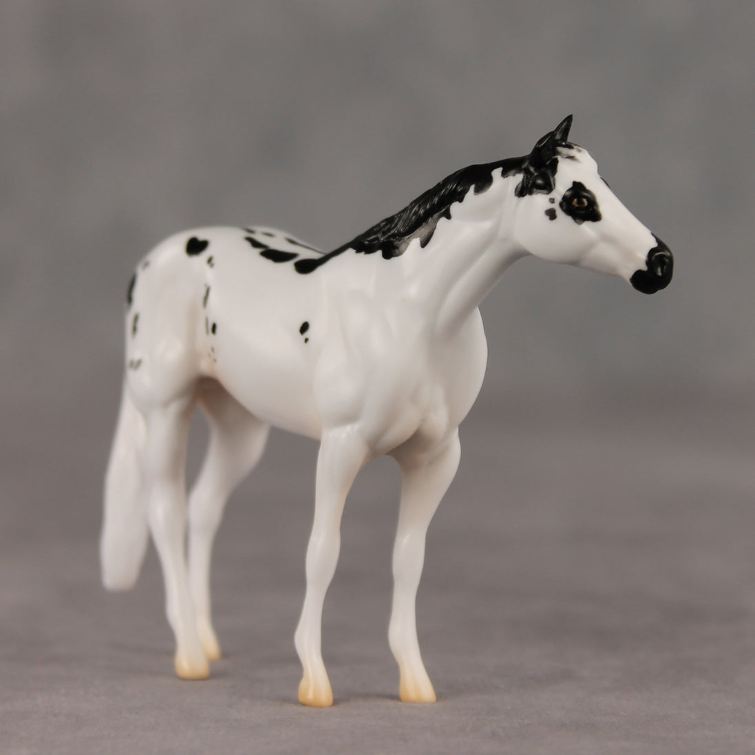 Hop To It LE-5 Chip Stock Horse by Jess Hamill SCD26