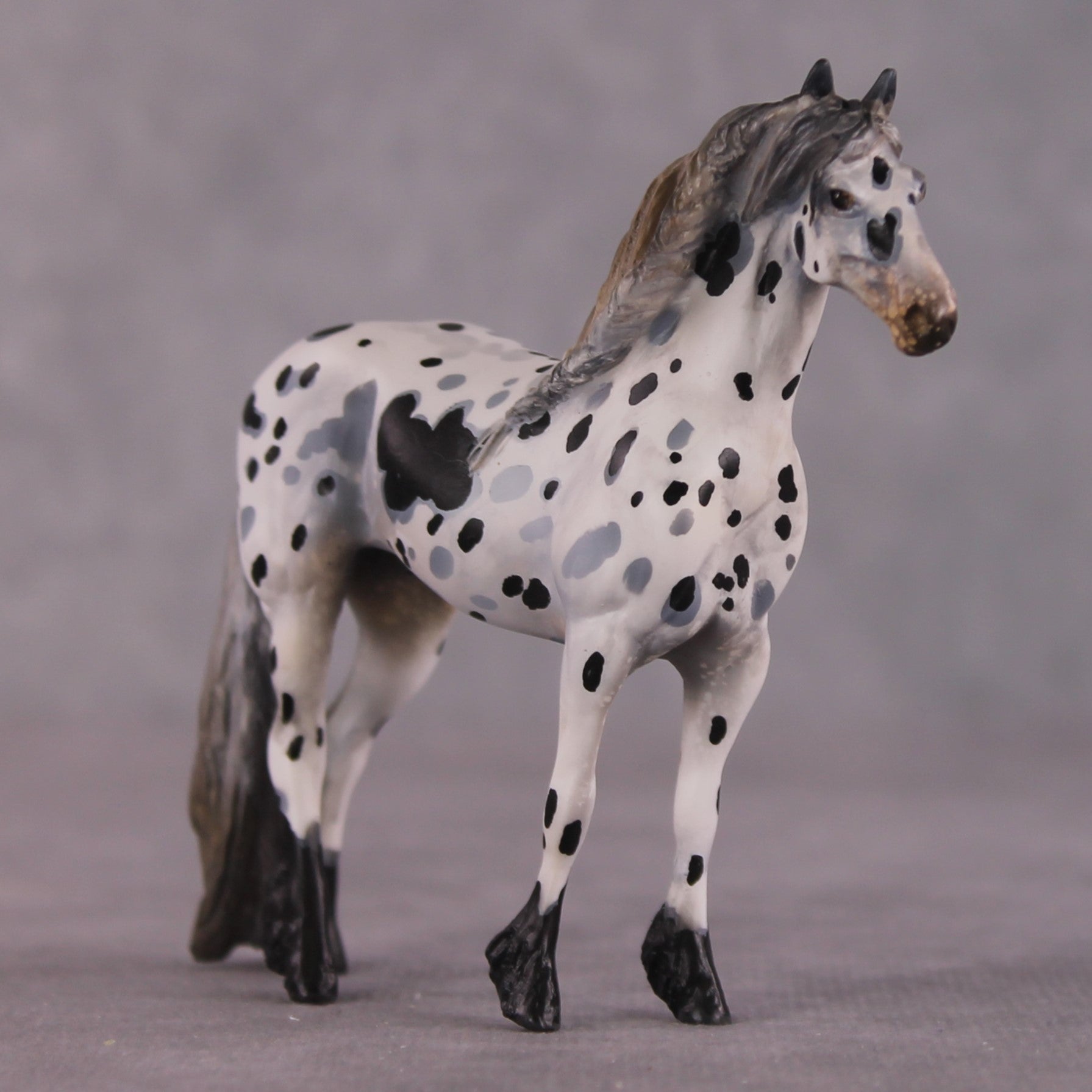 "Disengo" EFCM Stock/Friesian Chip By Kristen Cermele