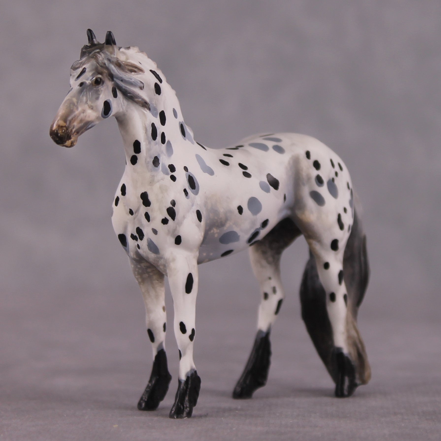 "Disengo" EFCM Stock/Friesian Chip By Kristen Cermele