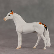 Feline Good LE-5 Chip Andalusian by Jess Hamill SCD26
