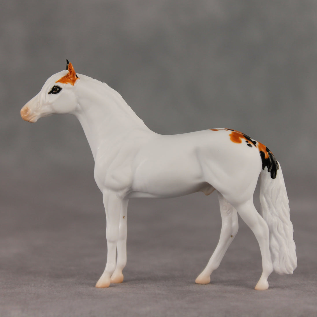 Feline Good LE-5 Chip Andalusian by Jess Hamill SCD26
