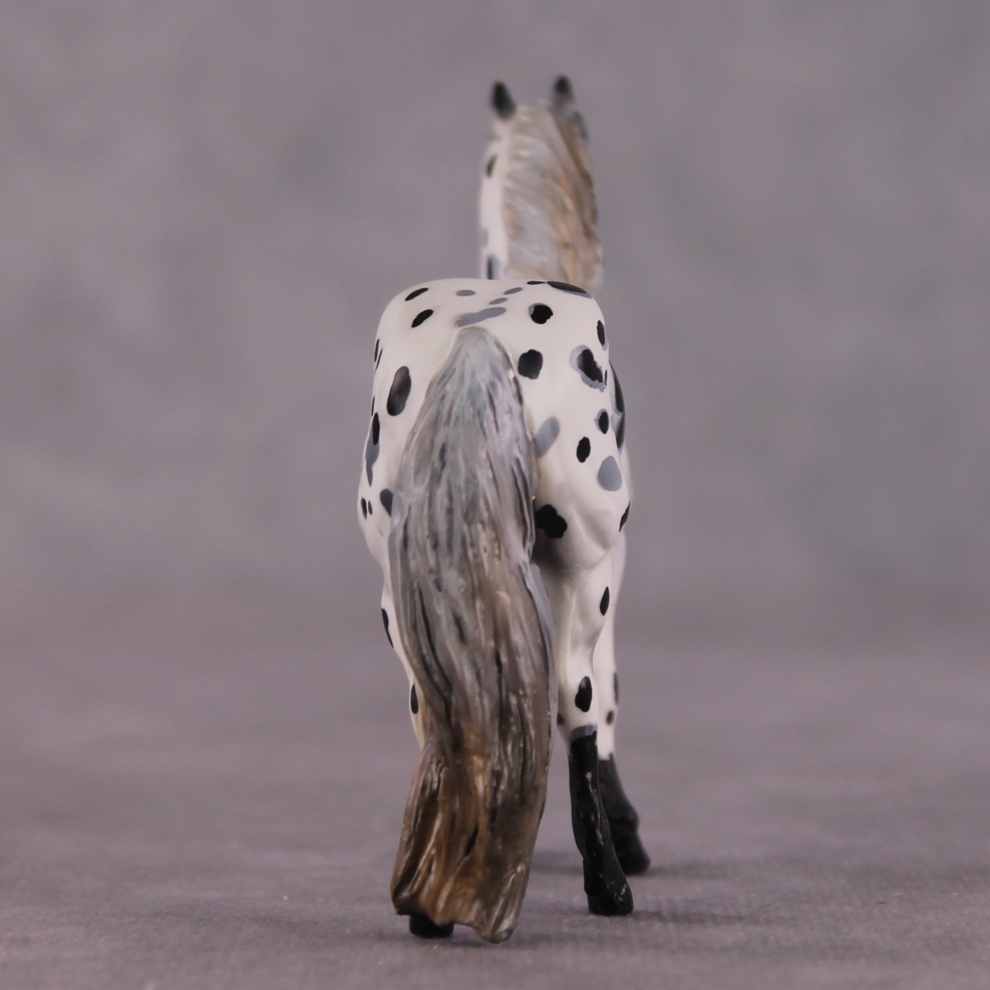 "Disengo" EFCM Stock/Friesian Chip By Kristen Cermele