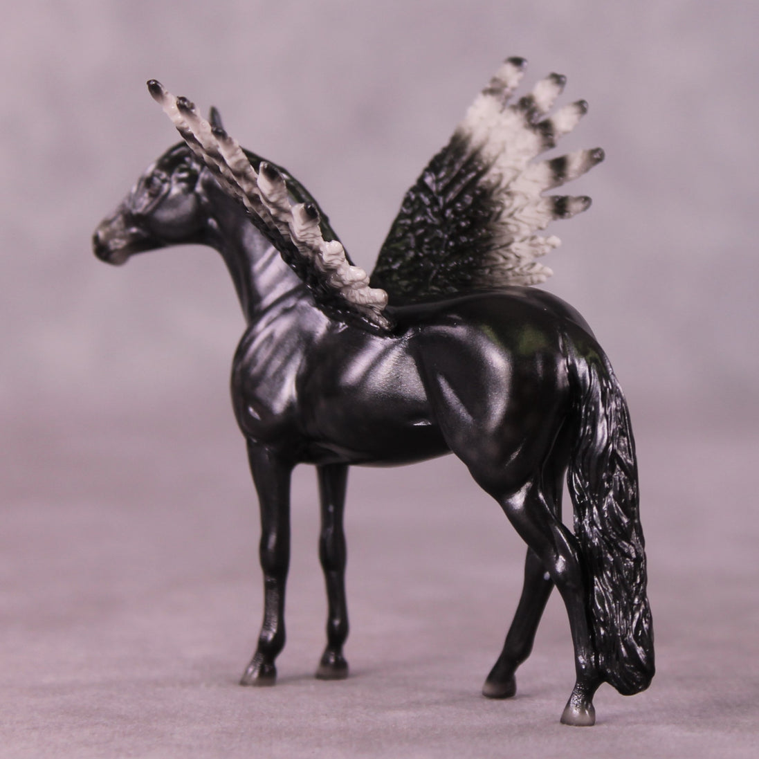 "Puck" FCM Andalusian Chip Blind Grab Bag - Painted By Ellen Robbins CL25