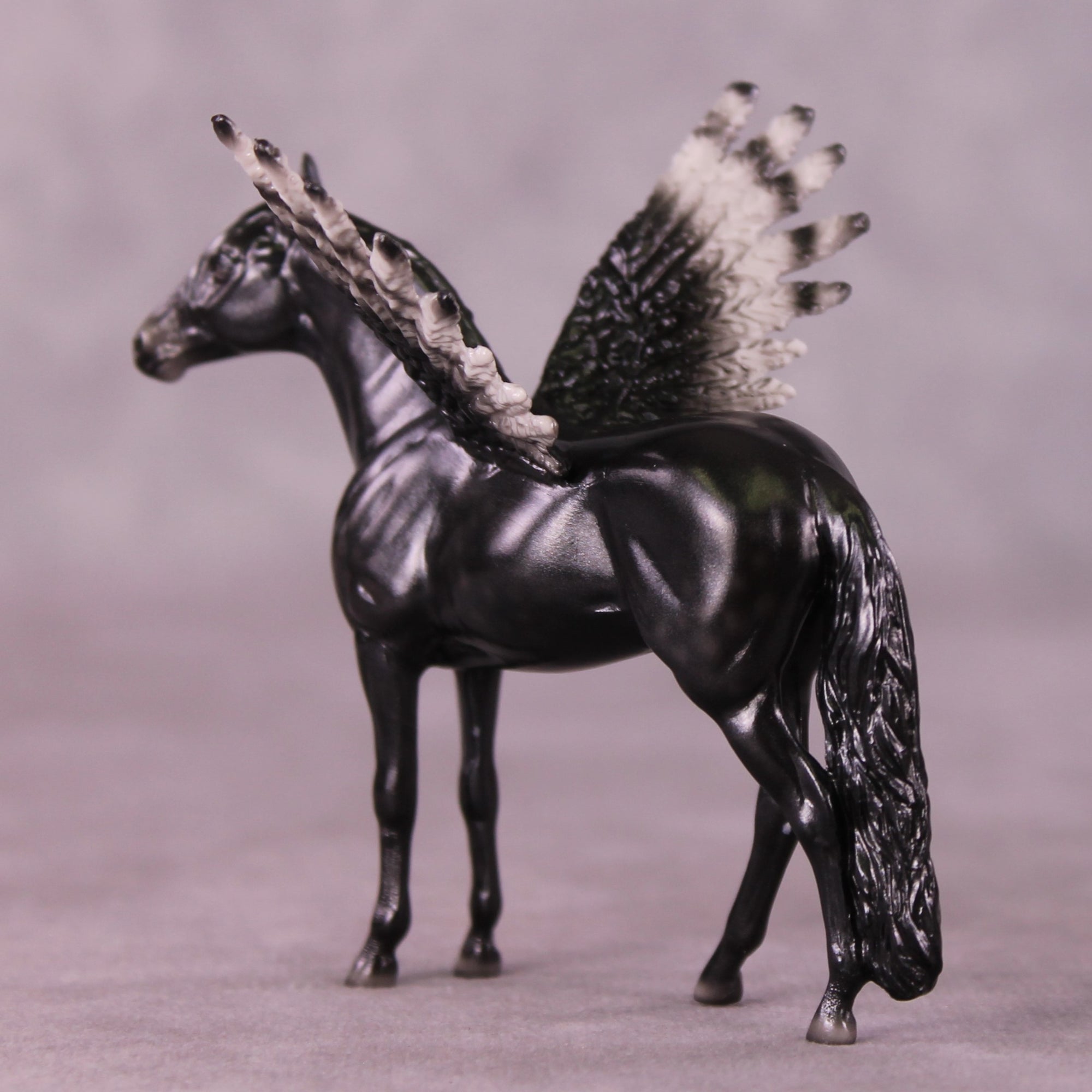 "Puck" FCM Andalusian Chip Blind Grab Bag - Painted By Ellen Robbins CL25