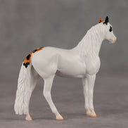 Feline Good LE-5 Chip Andalusian by Jess Hamill SCD26