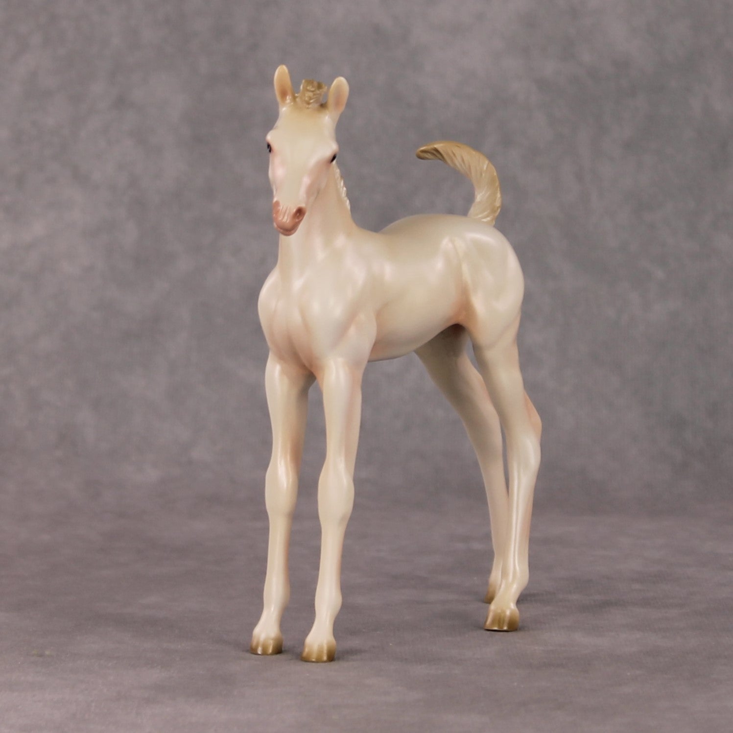 Little Golden Star OOAK Cremello Arab Foal by Ashley Palmer HS24