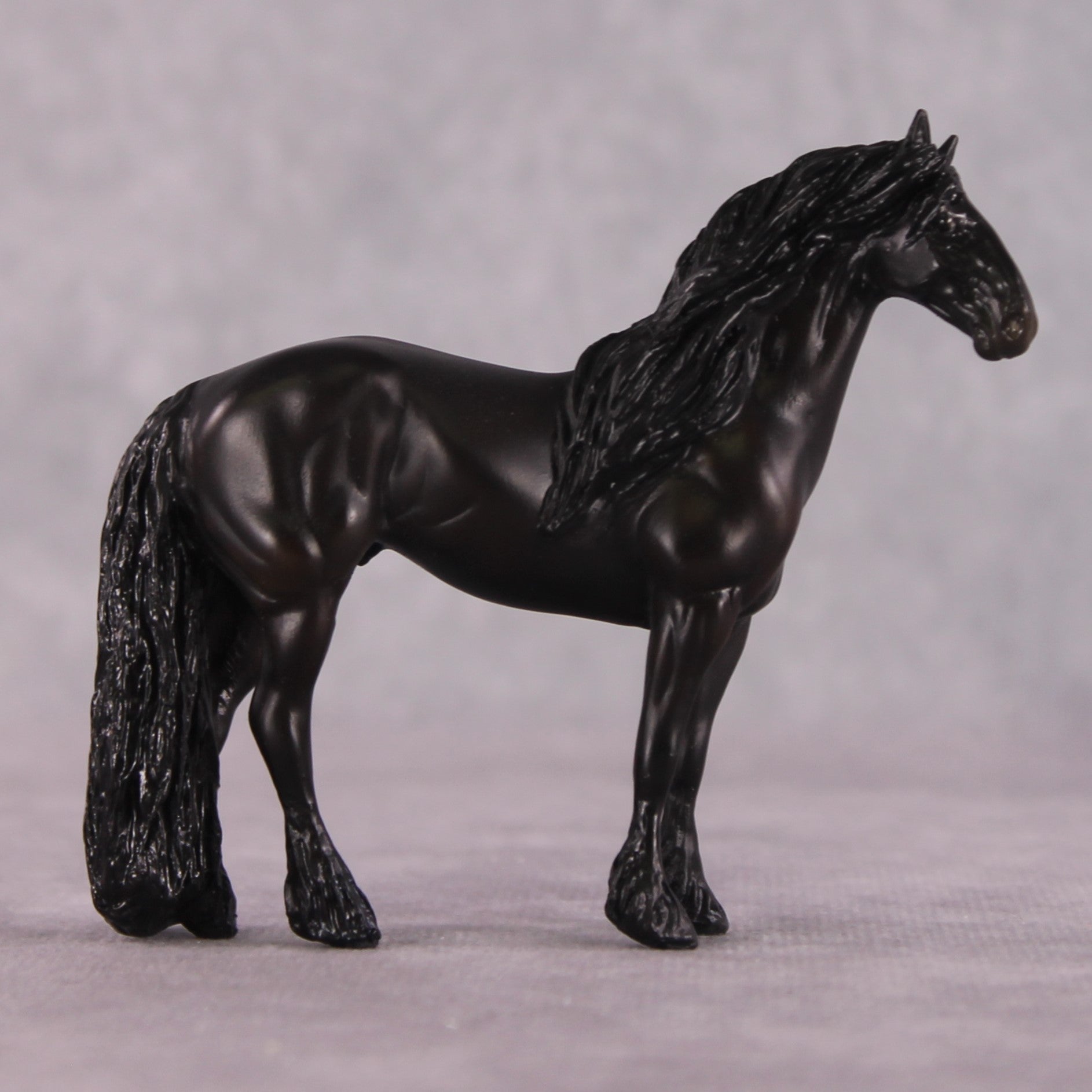 &quot;Bartolo&quot; EFCM Stock/Friesian Chip By Kristen Cermele
