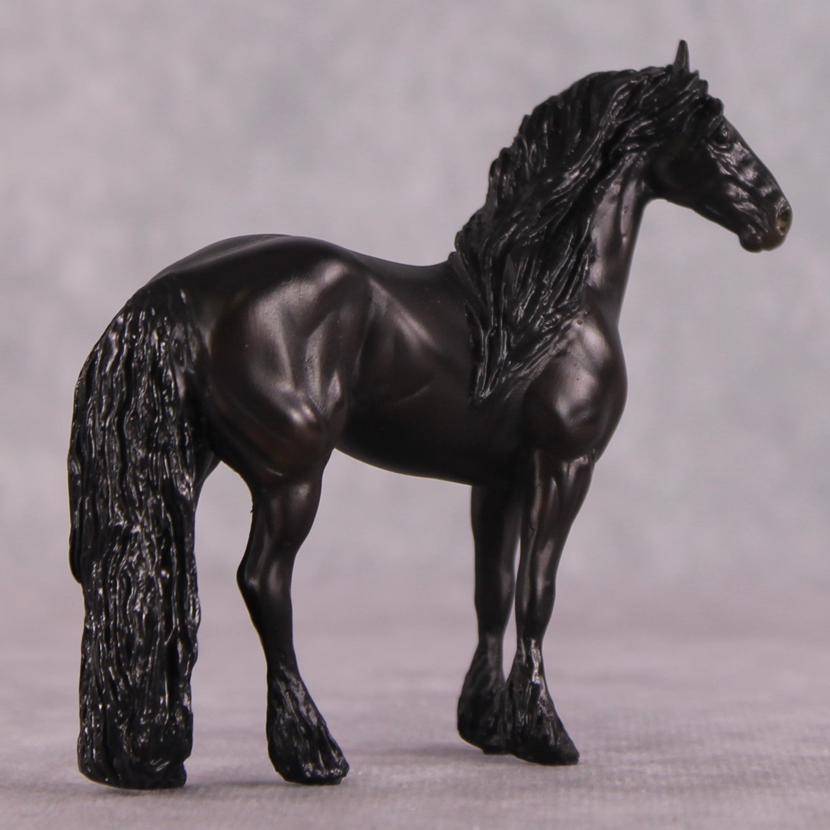 &quot;Bartolo&quot; EFCM Stock/Friesian Chip By Kristen Cermele