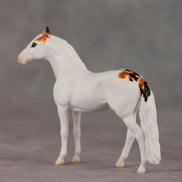 Feline Good LE-5 Chip Andalusian by Jess Hamill SCD26