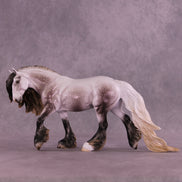 Nicholas LE-15 FCM Irish Cob by Ellen Robbins and Ashley Palmer HS25