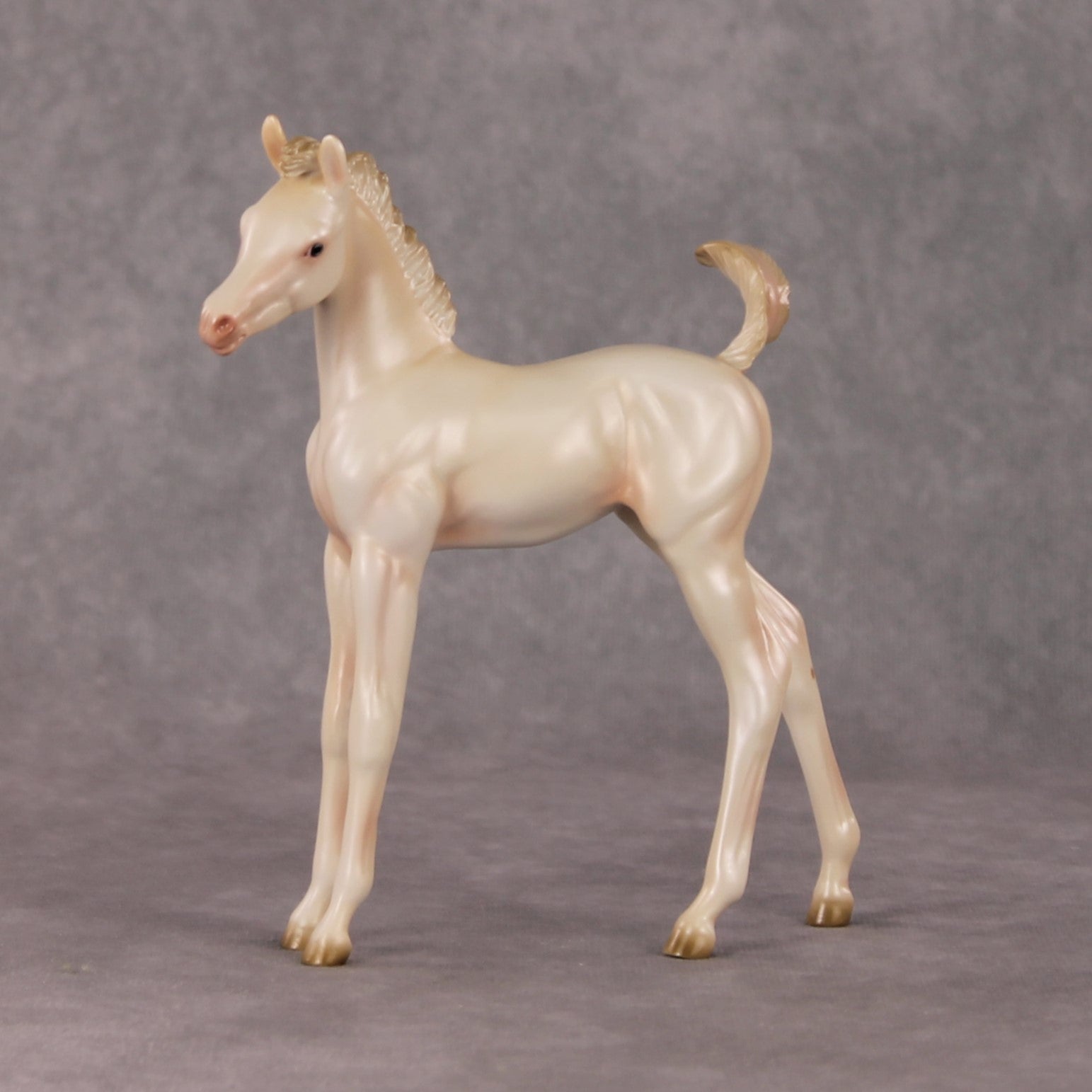 Little Golden Star OOAK Cremello Arab Foal by Ashley Palmer HS24