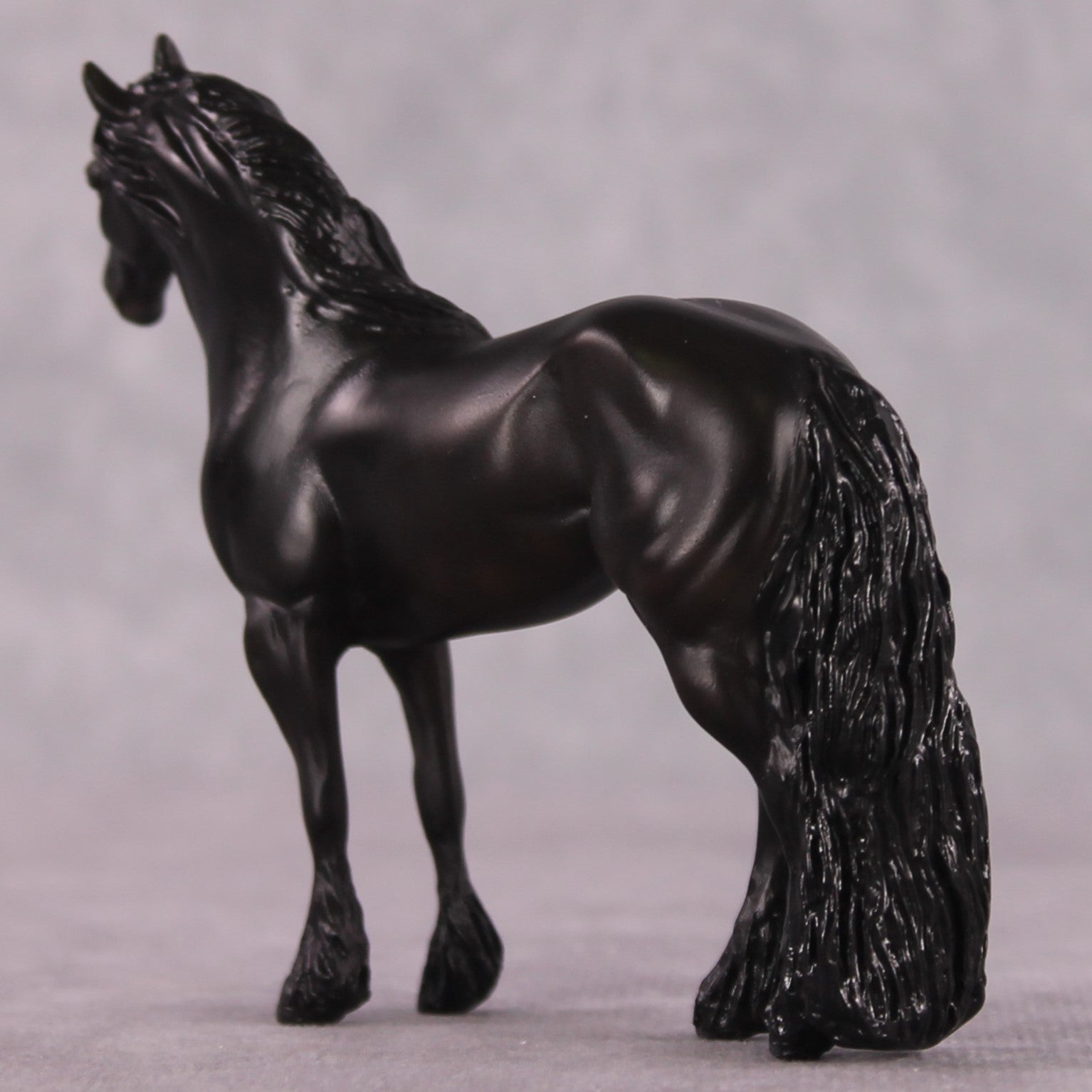&quot;Bartolo&quot; EFCM Stock/Friesian Chip By Kristen Cermele