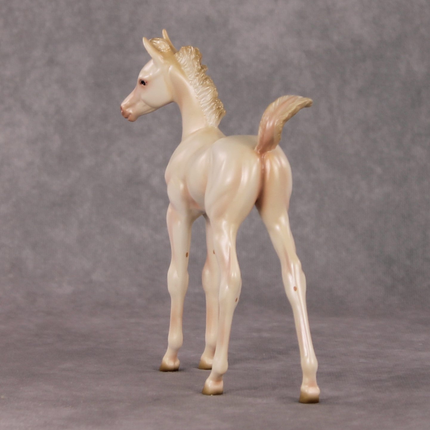 Little Golden Star OOAK Cremello Arab Foal by Ashley Palmer HS24