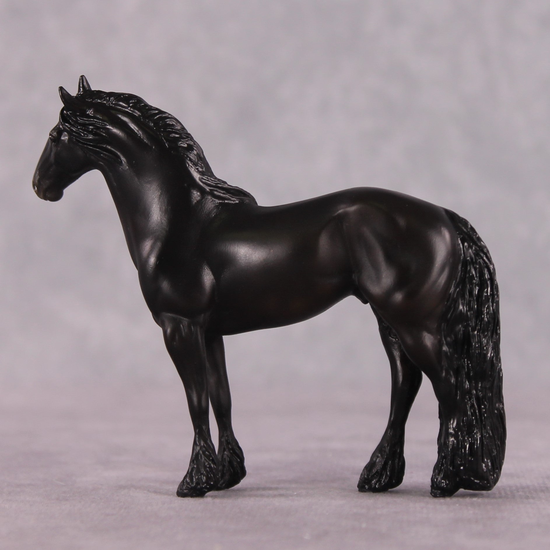 &quot;Bartolo&quot; EFCM Stock/Friesian Chip By Kristen Cermele