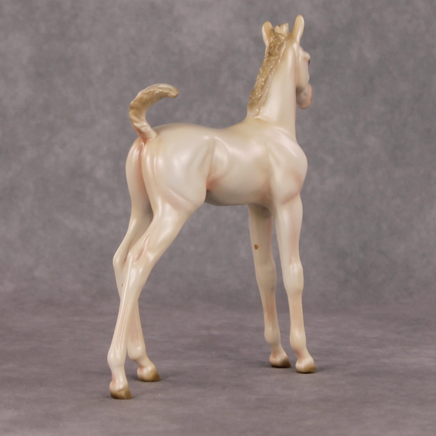 Little Golden Star OOAK Cremello Arab Foal by Ashley Palmer HS24