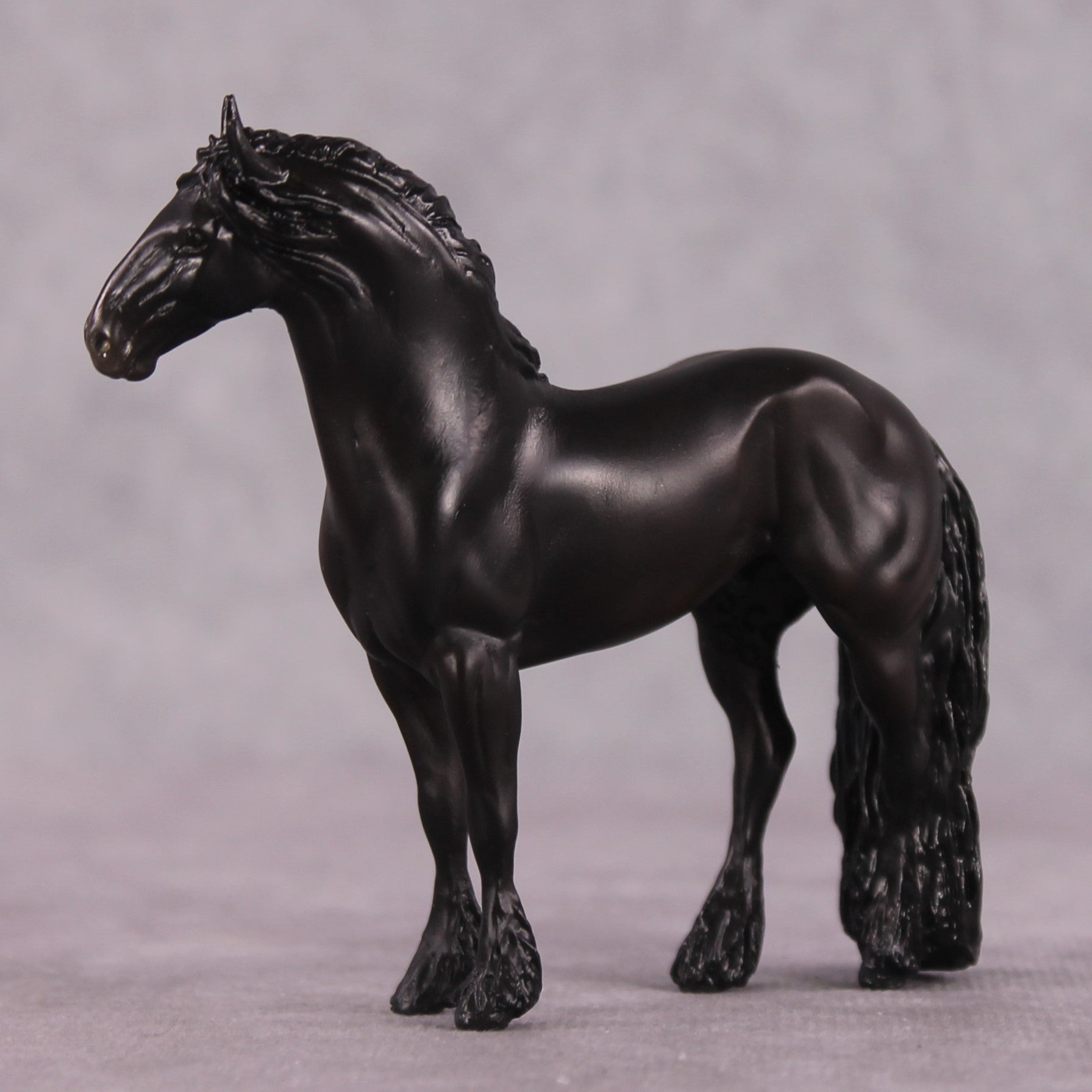 &quot;Bartolo&quot; EFCM Stock/Friesian Chip By Kristen Cermele