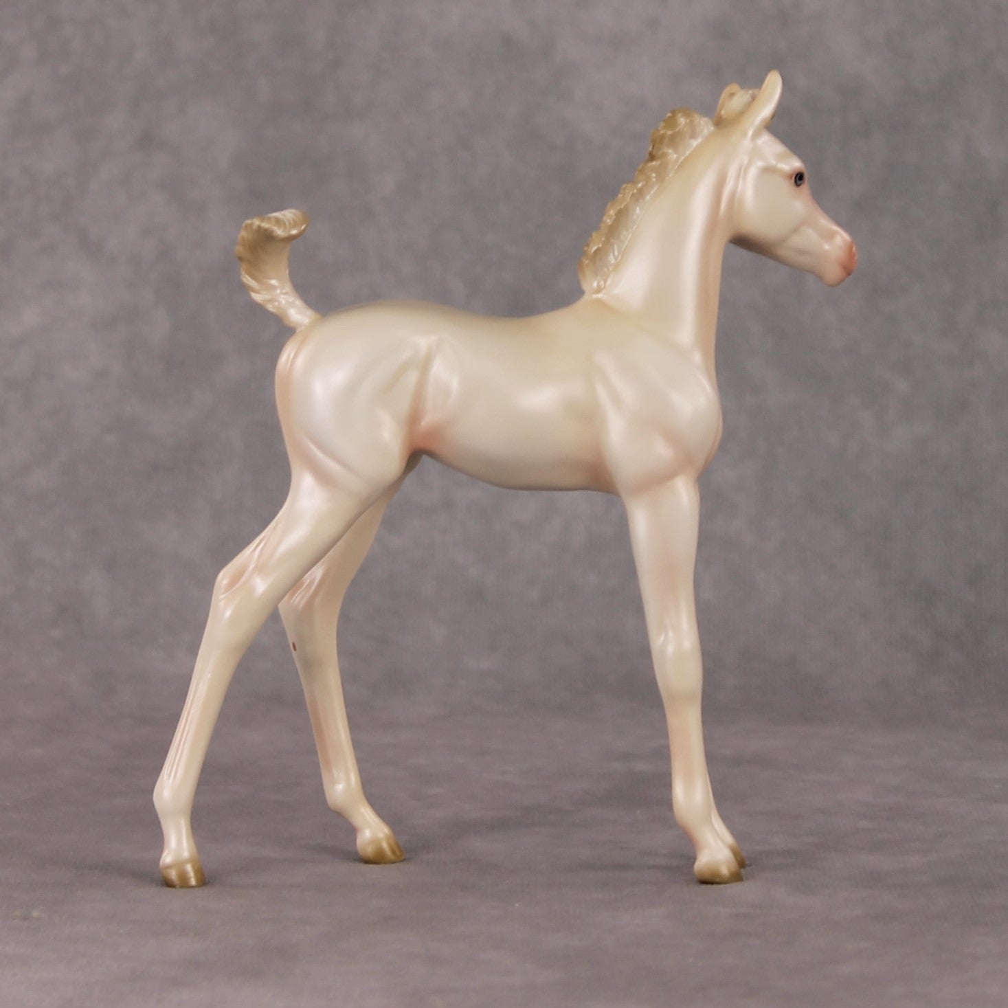 Little Golden Star OOAK Cremello Arab Foal by Ashley Palmer HS24