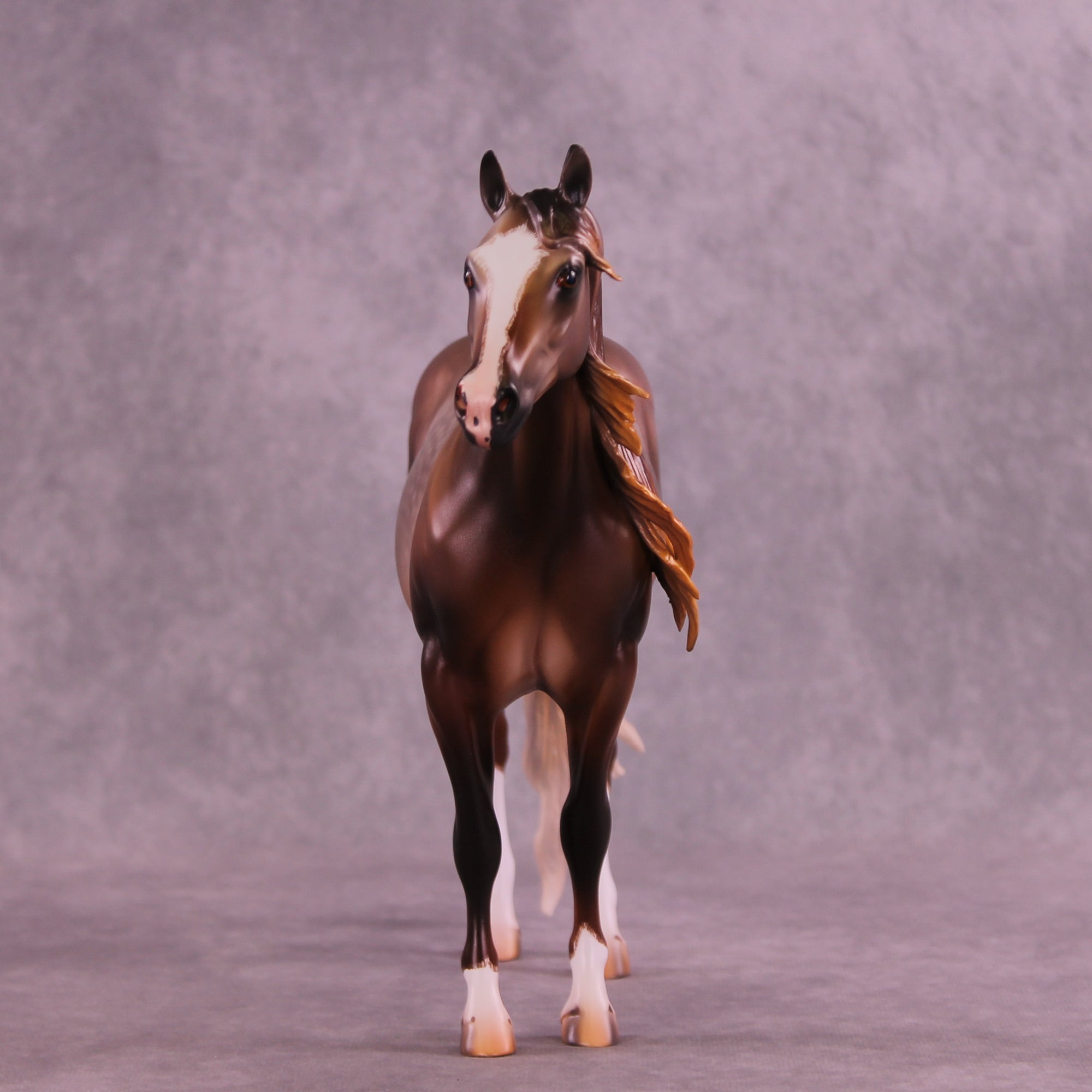 Mungo Jerry OOAK FCM Ideal Stock Horse by Caroline Boydston Best Offer 12/23/2025