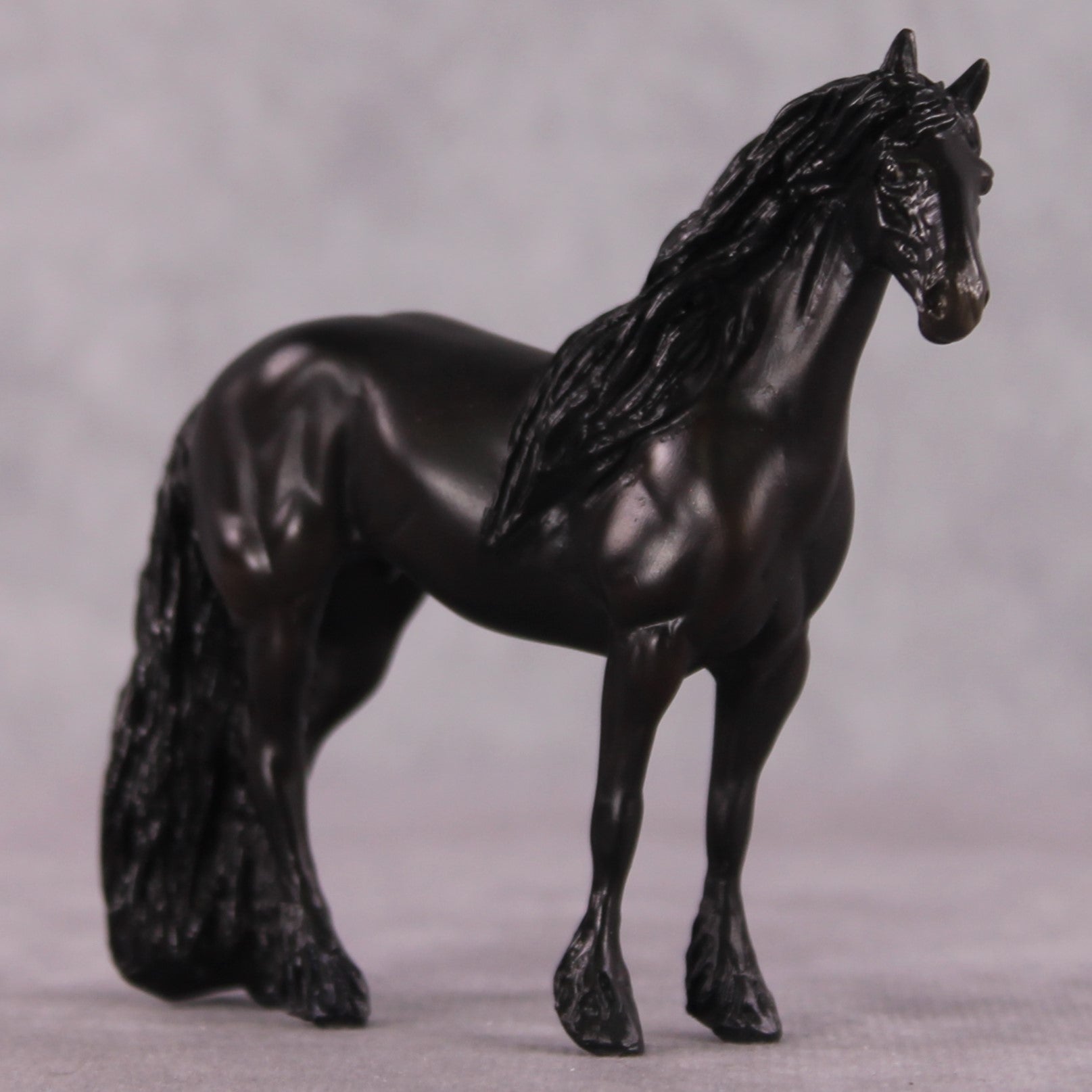 &quot;Bartolo&quot; EFCM Stock/Friesian Chip By Kristen Cermele