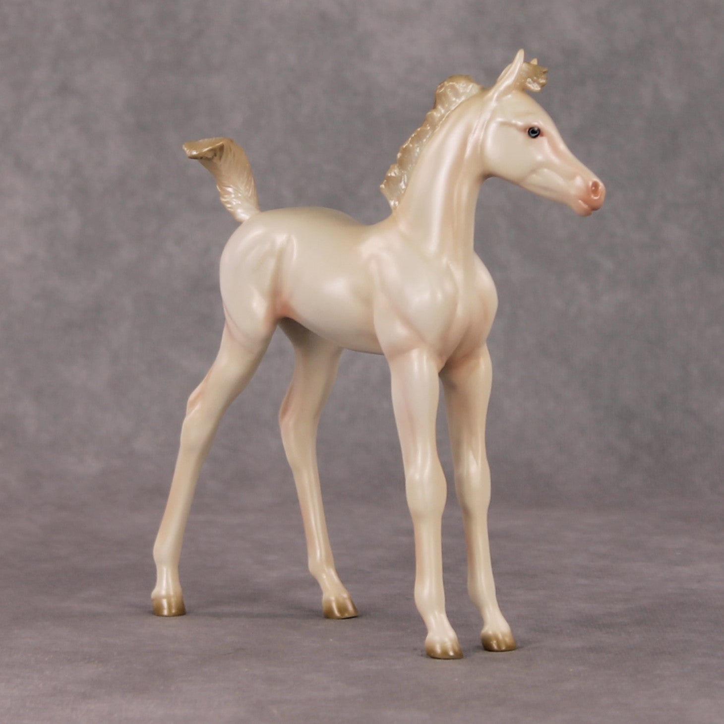 Little Golden Star OOAK Cremello Arab Foal by Ashley Palmer HS24