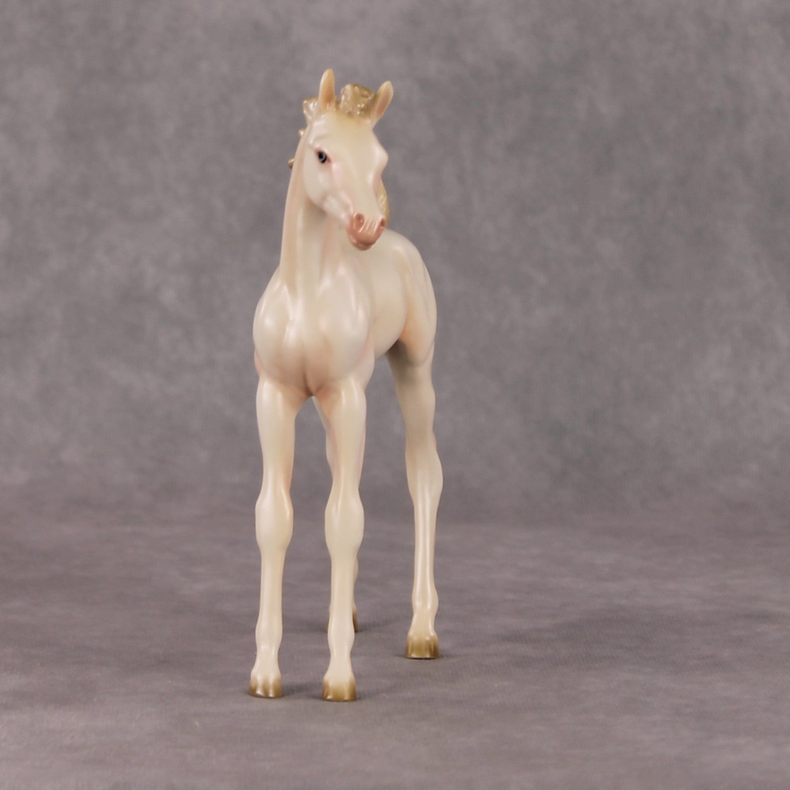 Little Golden Star OOAK Cremello Arab Foal by Ashley Palmer HS24